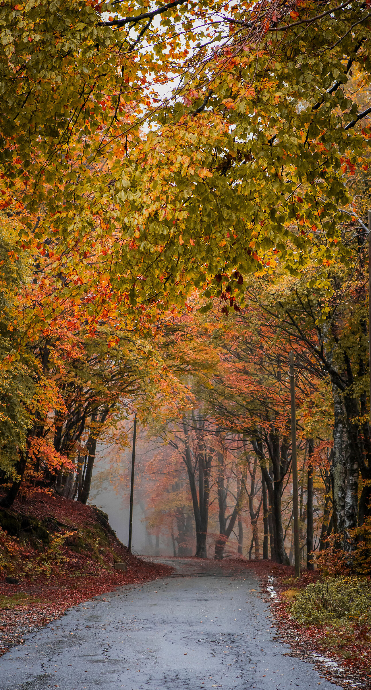 Valle D'Intelvi . A simple street full of colors