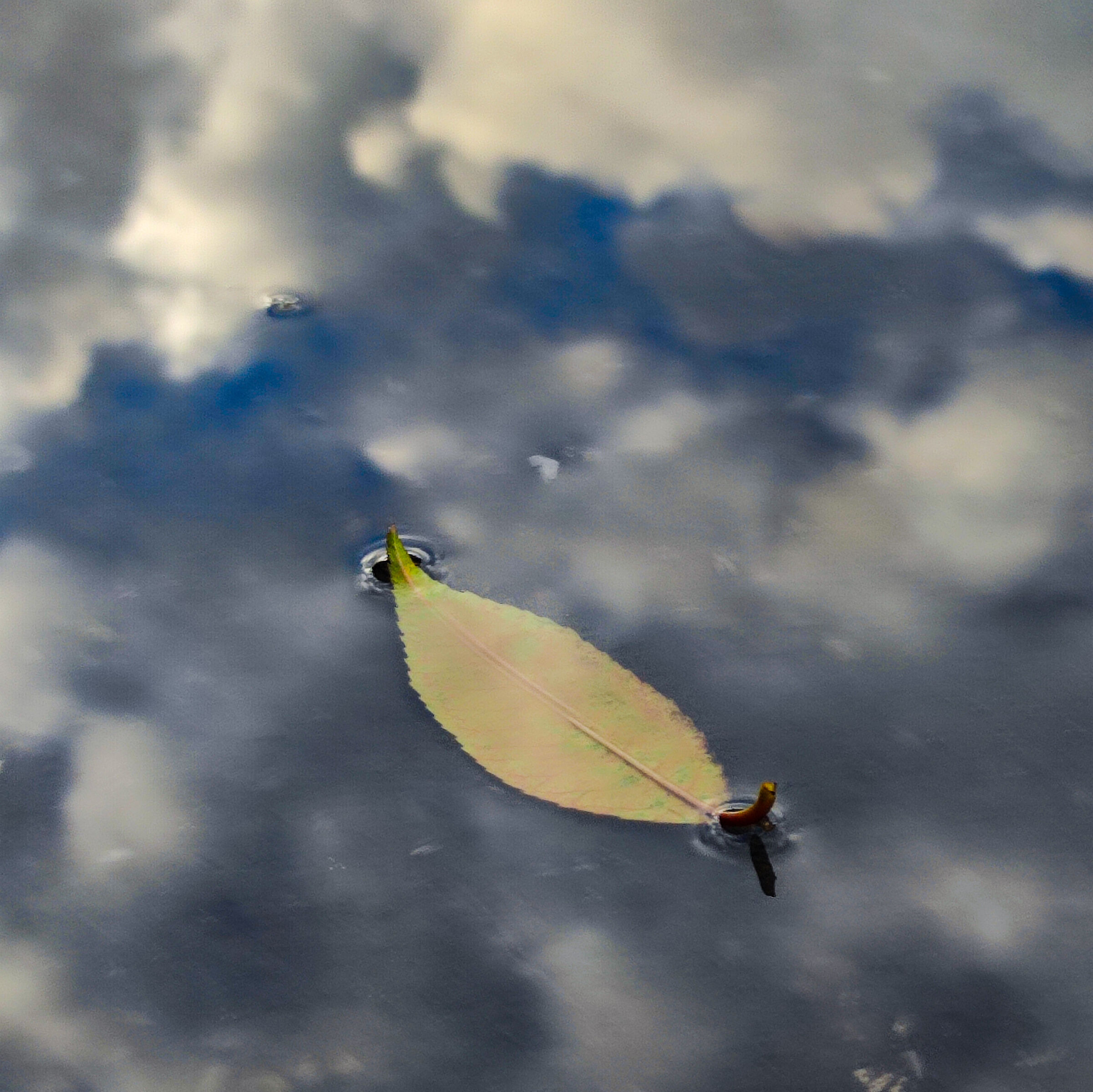 Composizione V - In un mare di nuvole