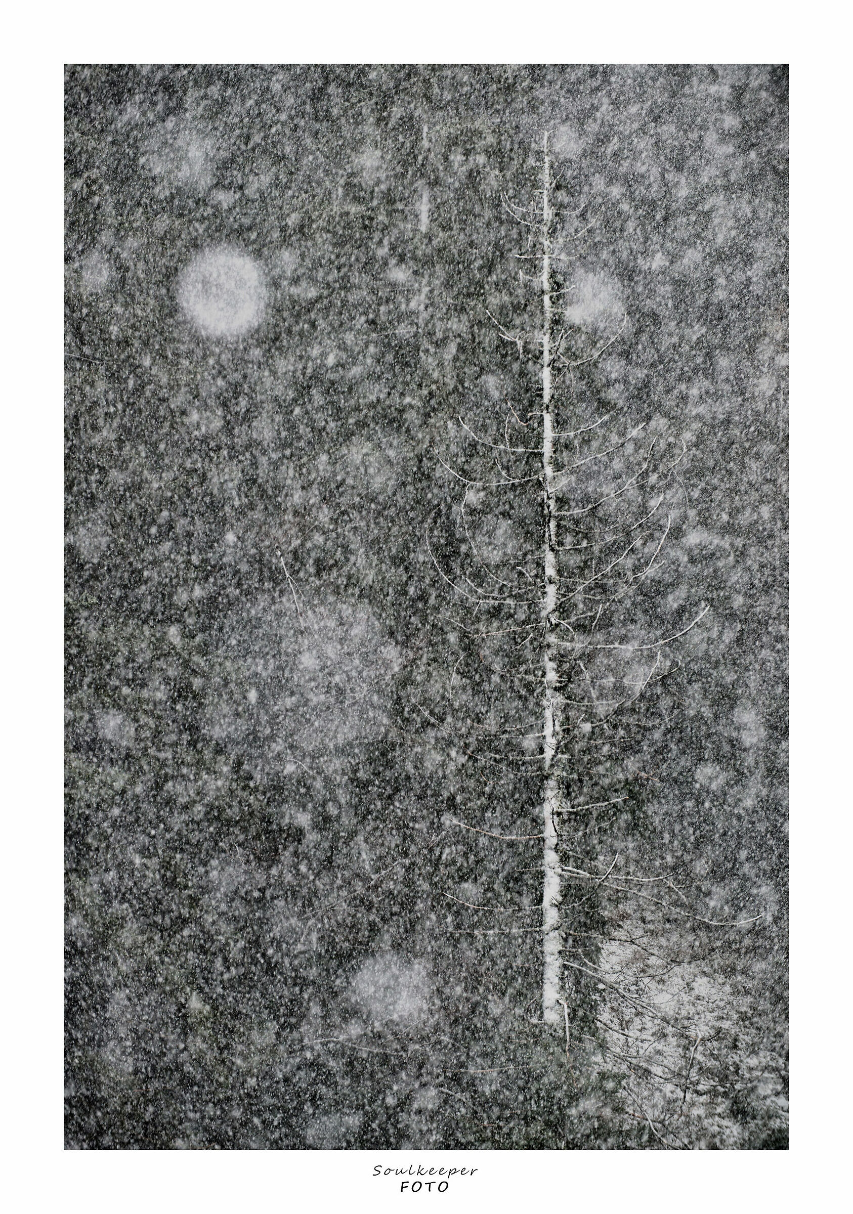 Astratto...naturale.