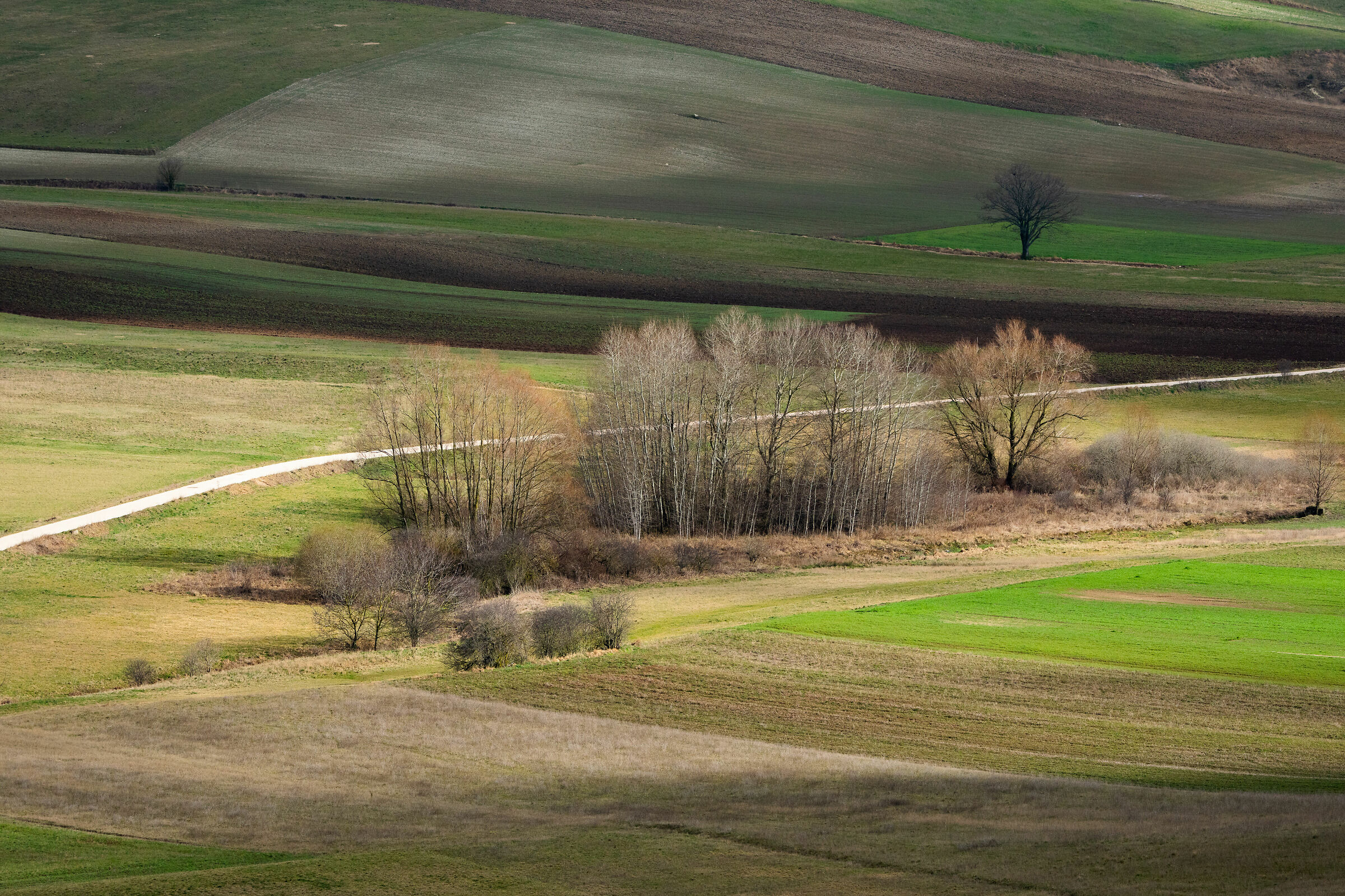 Loc. Colle Croce (Pg- Umbria)