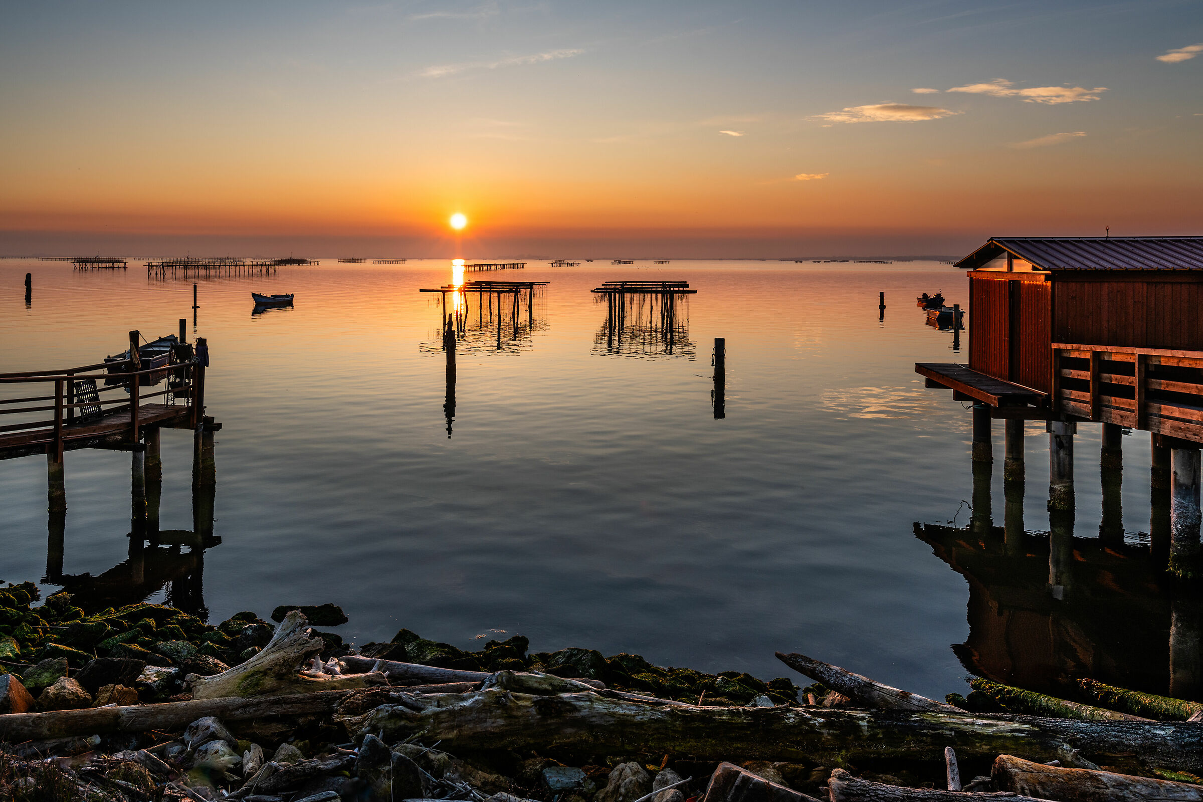 Classico della Sacca