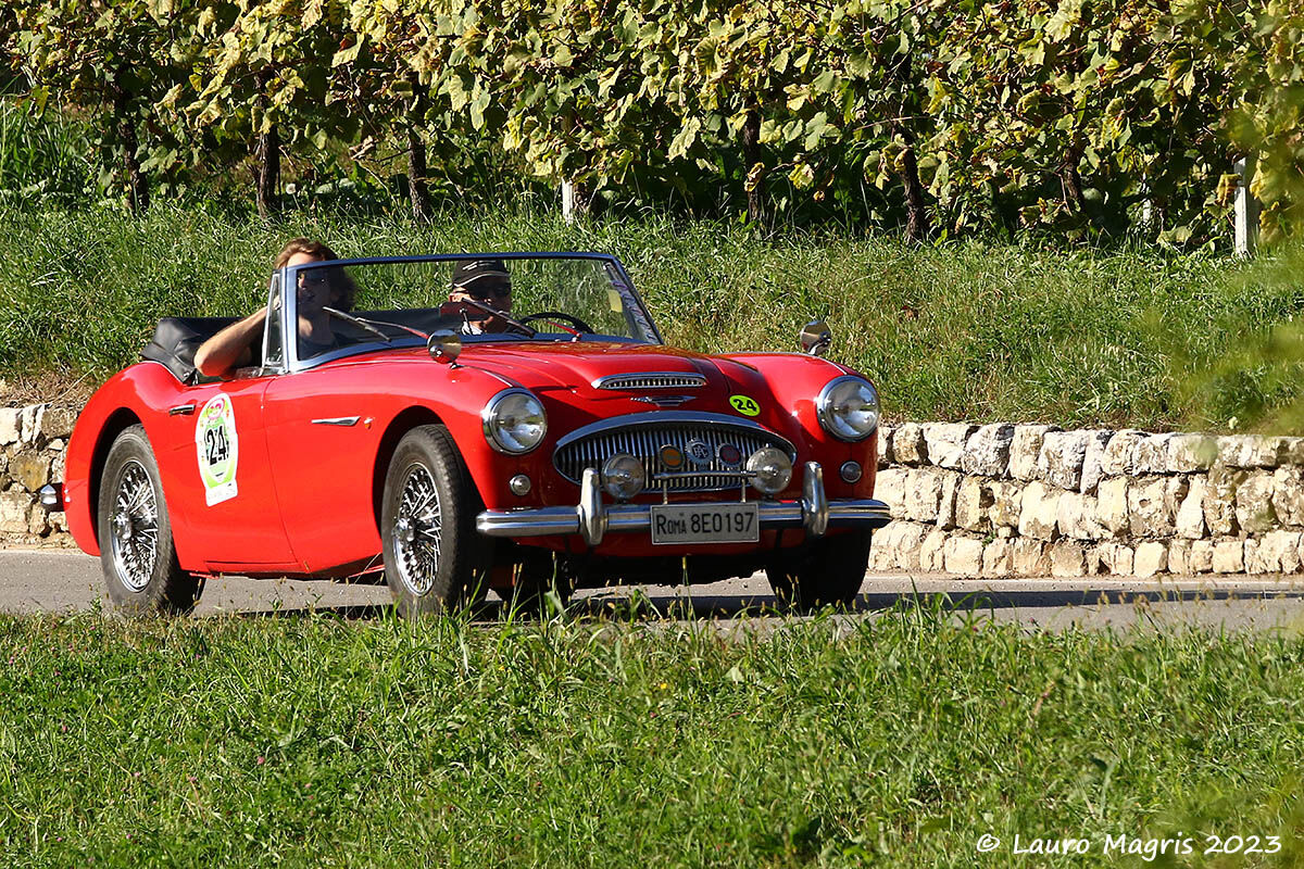 Austin Healey 3000 (1963)