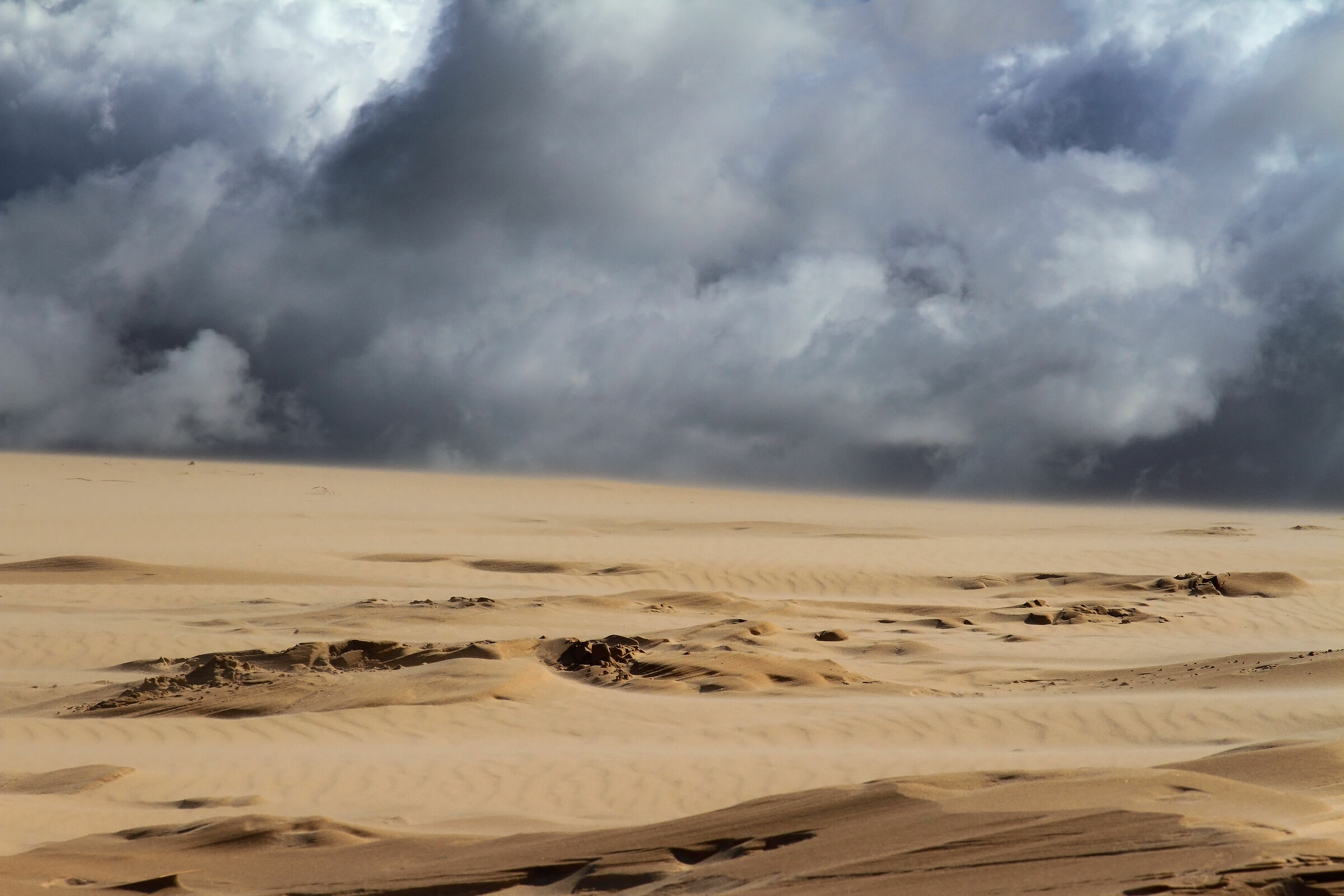 si! in Danimarca c'è il deserto...