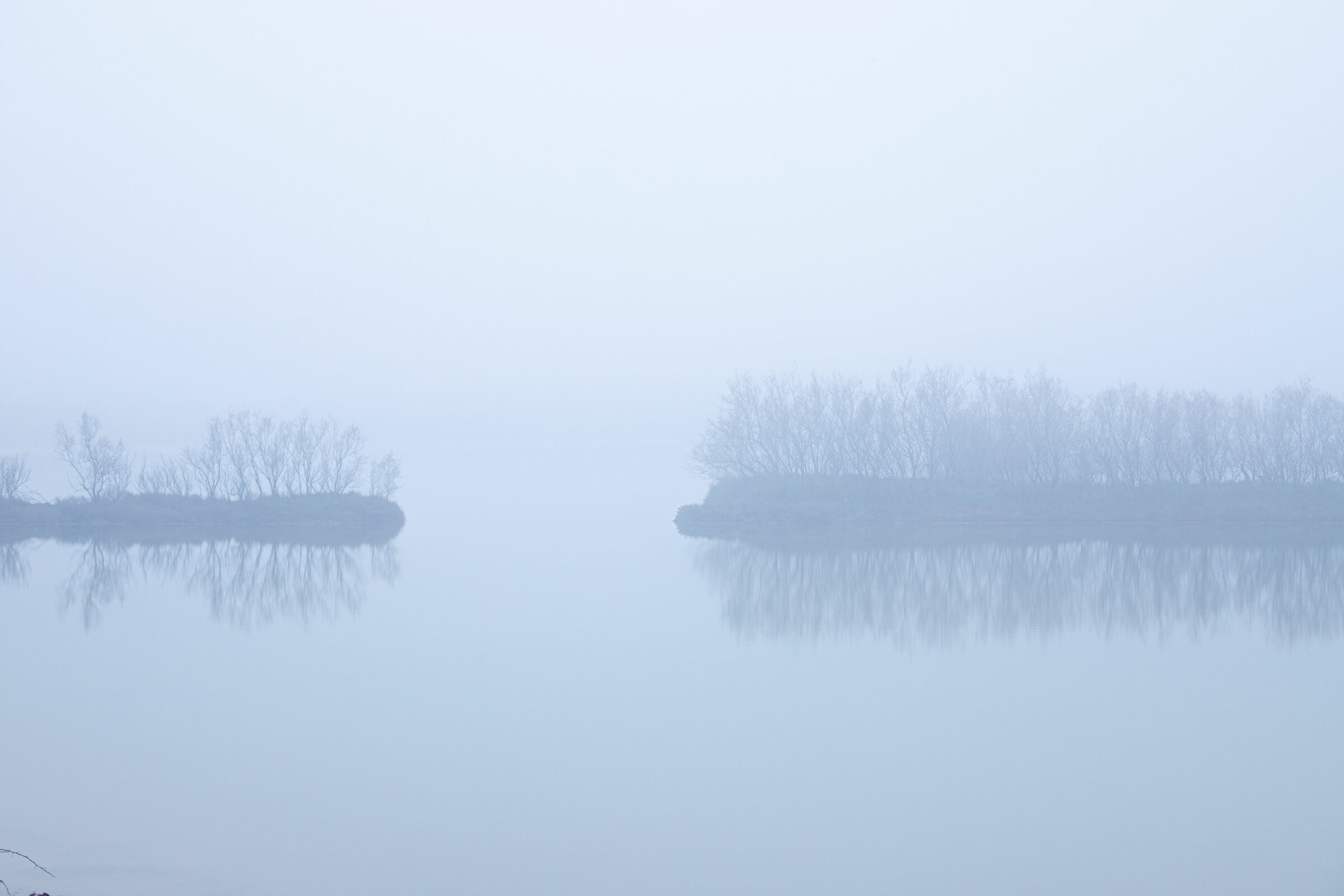 Fog in the Po Delta