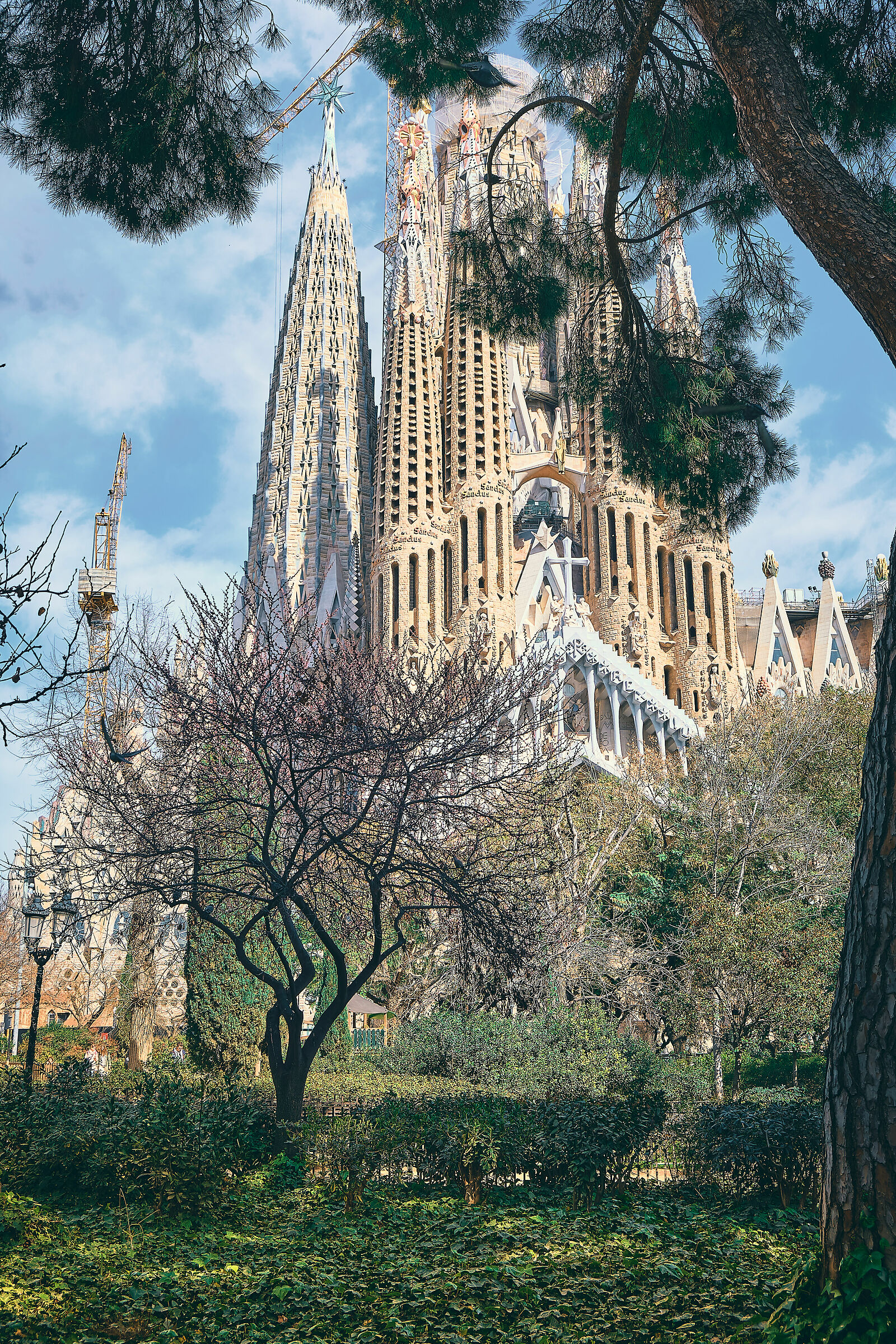 Sagrada Familia - vista dal parco