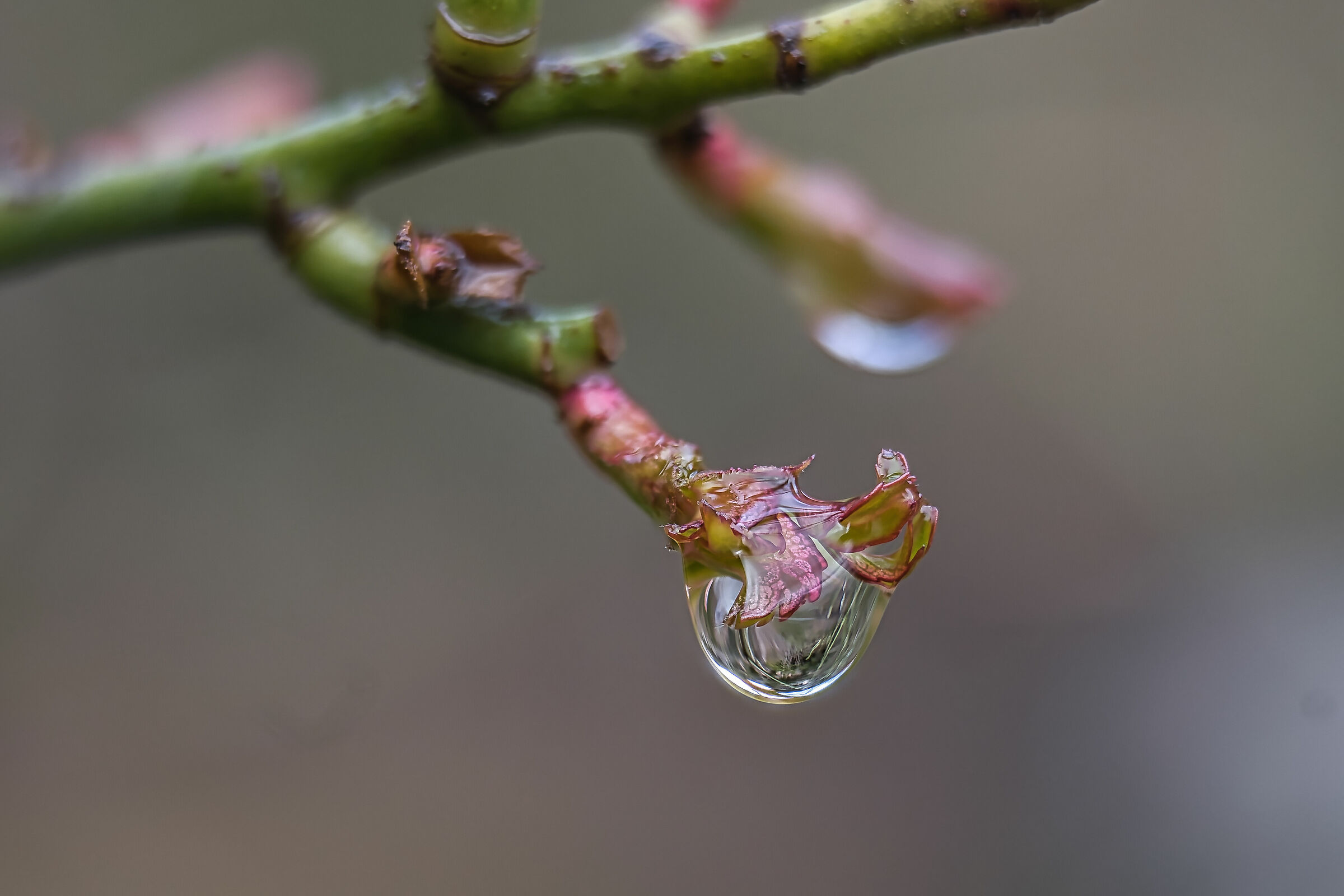 Untitled Photo