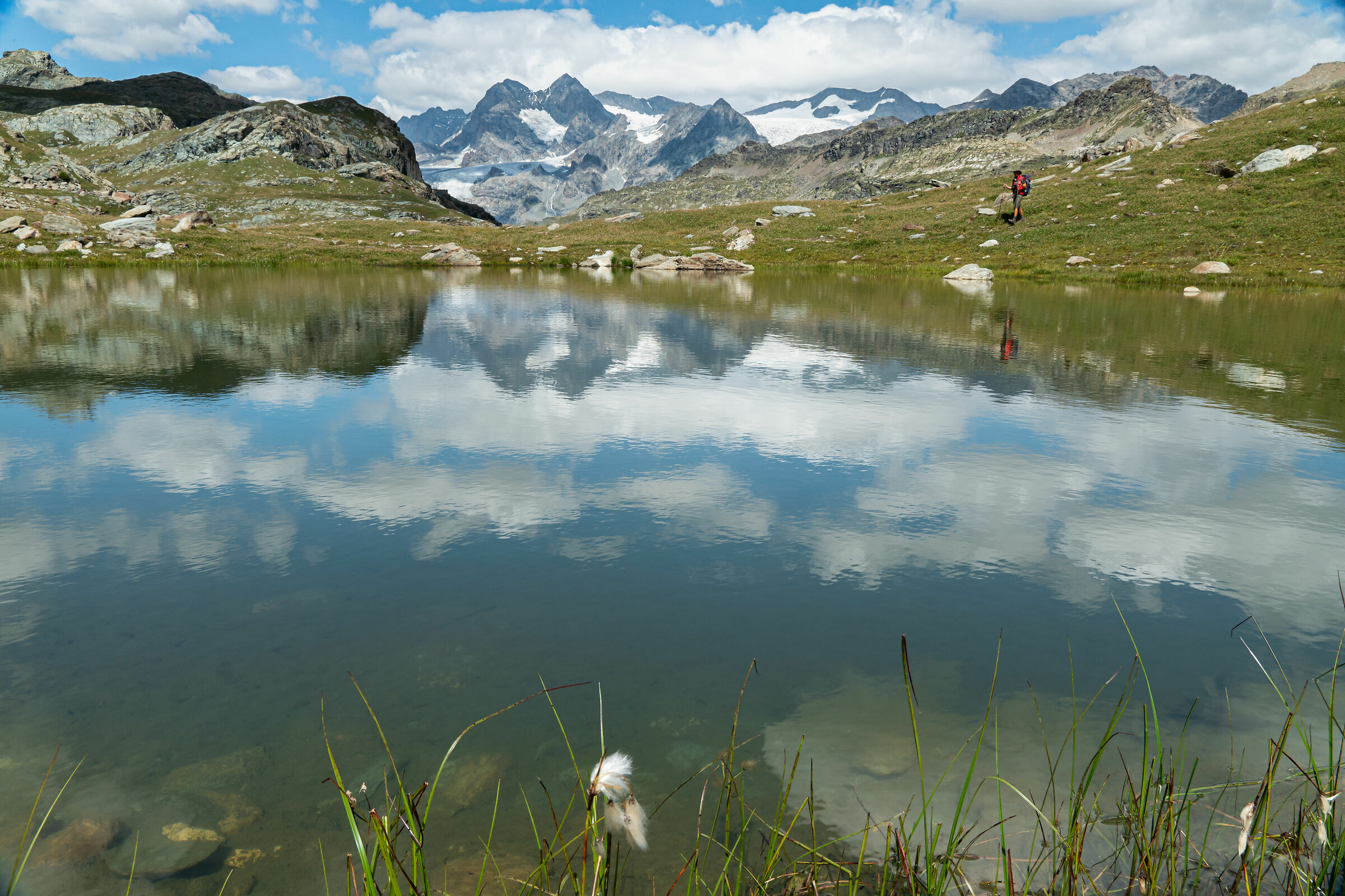 Il gruppo del Bernina che si specchia in un laghetto