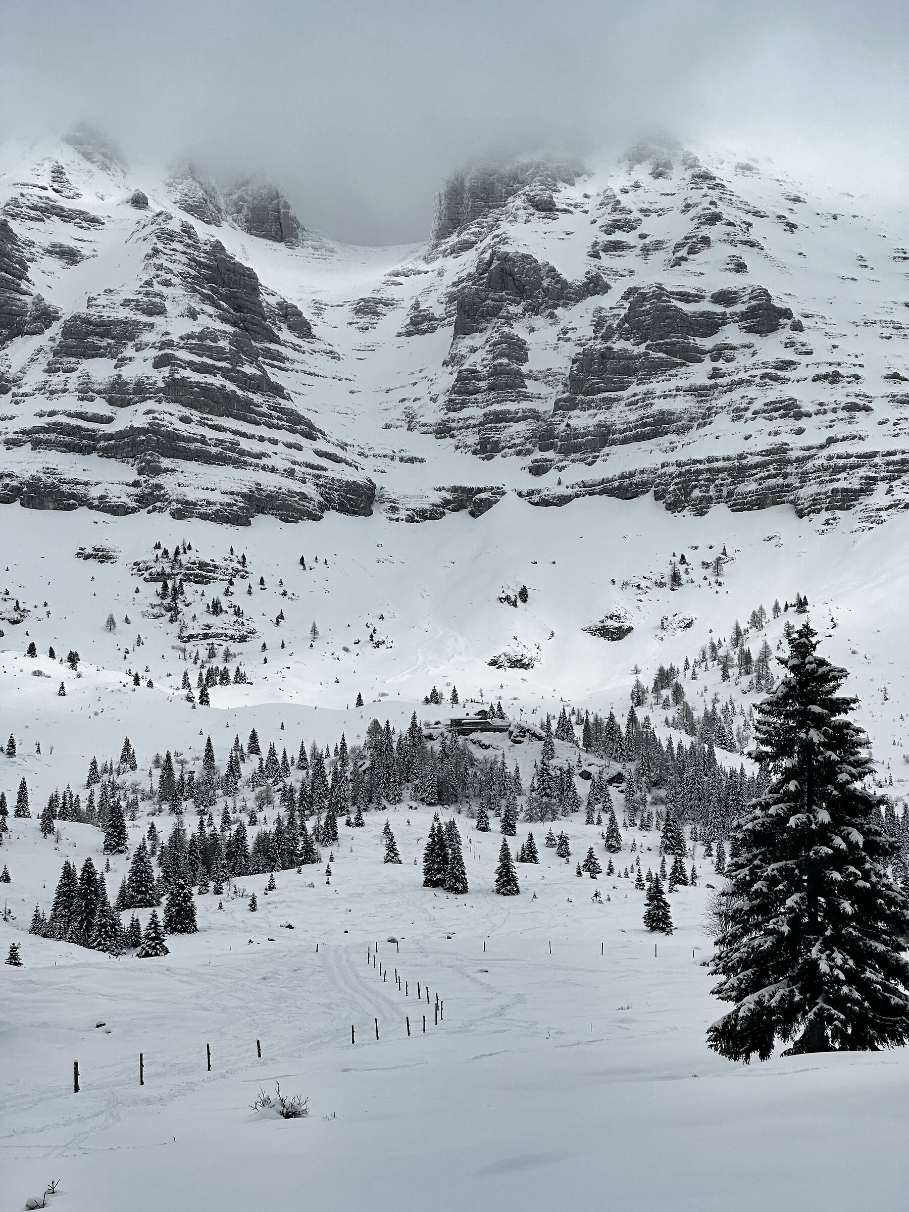Altopiano del Montasio - Friuli v.g.