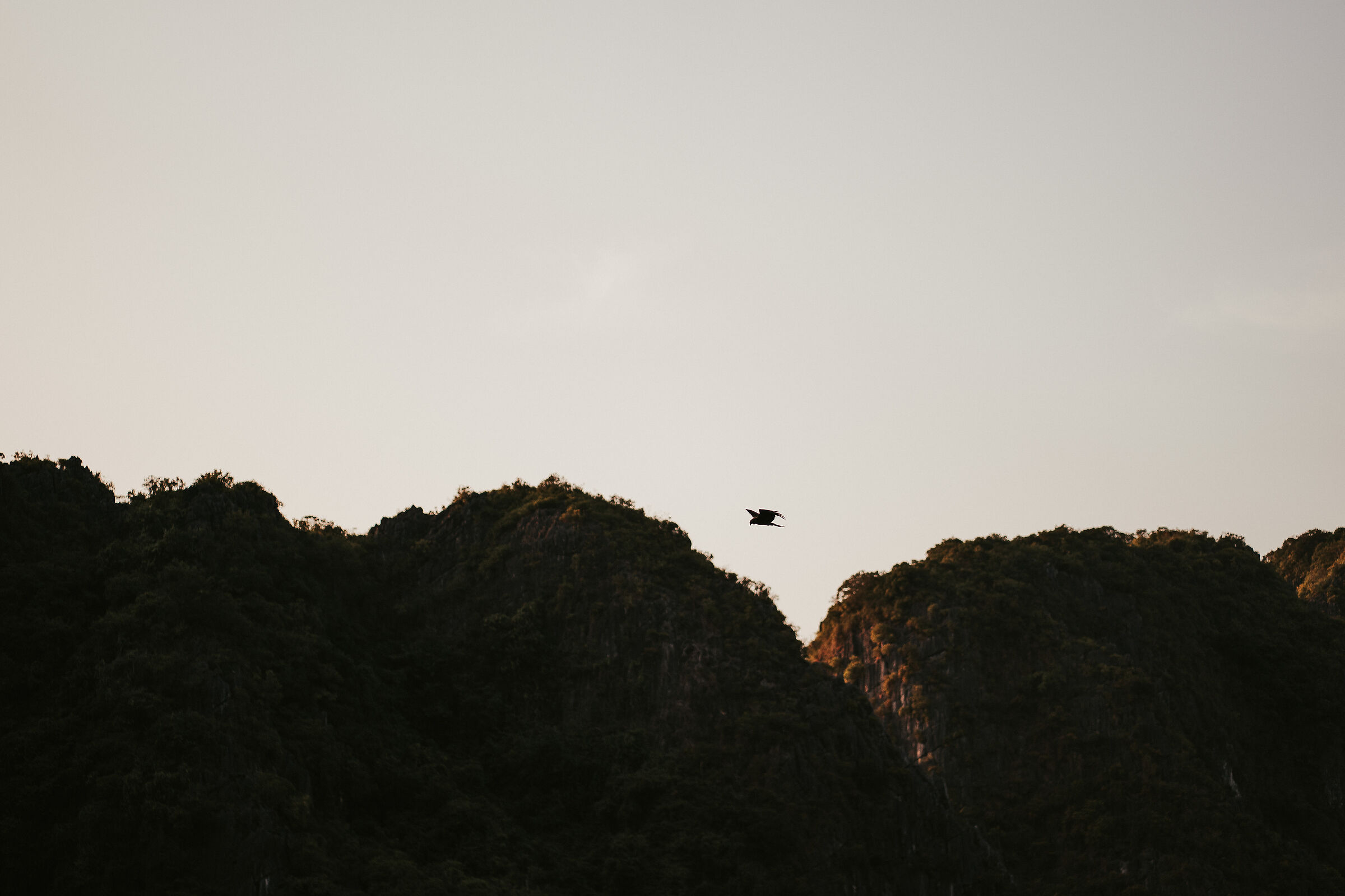 aquila sorvola ha long bay