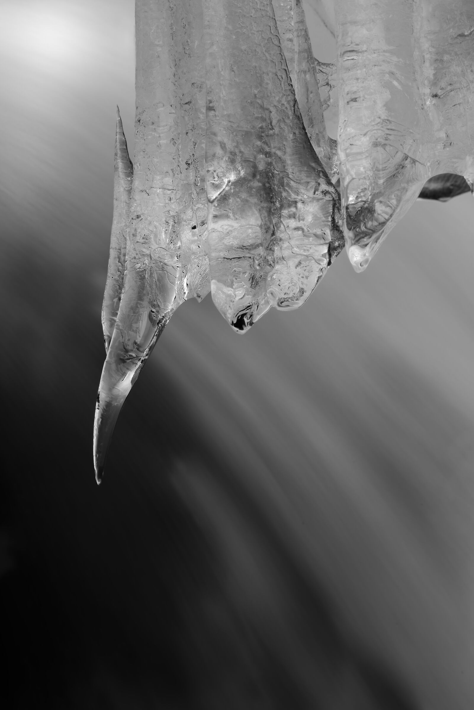 Details in the ice