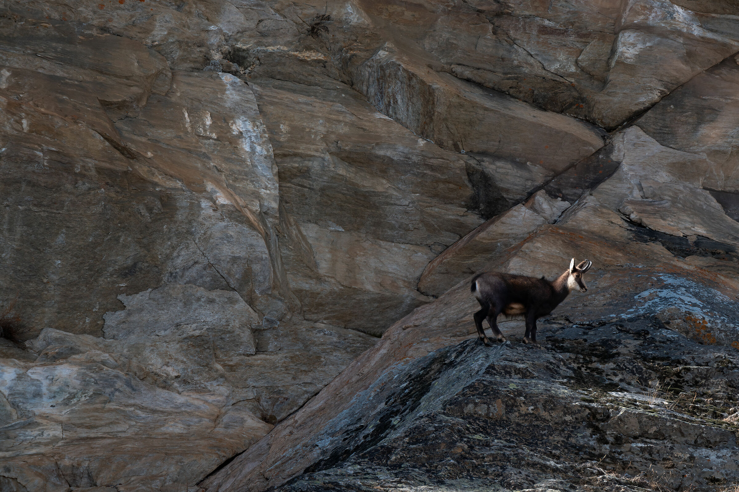 last ray of sunshine..