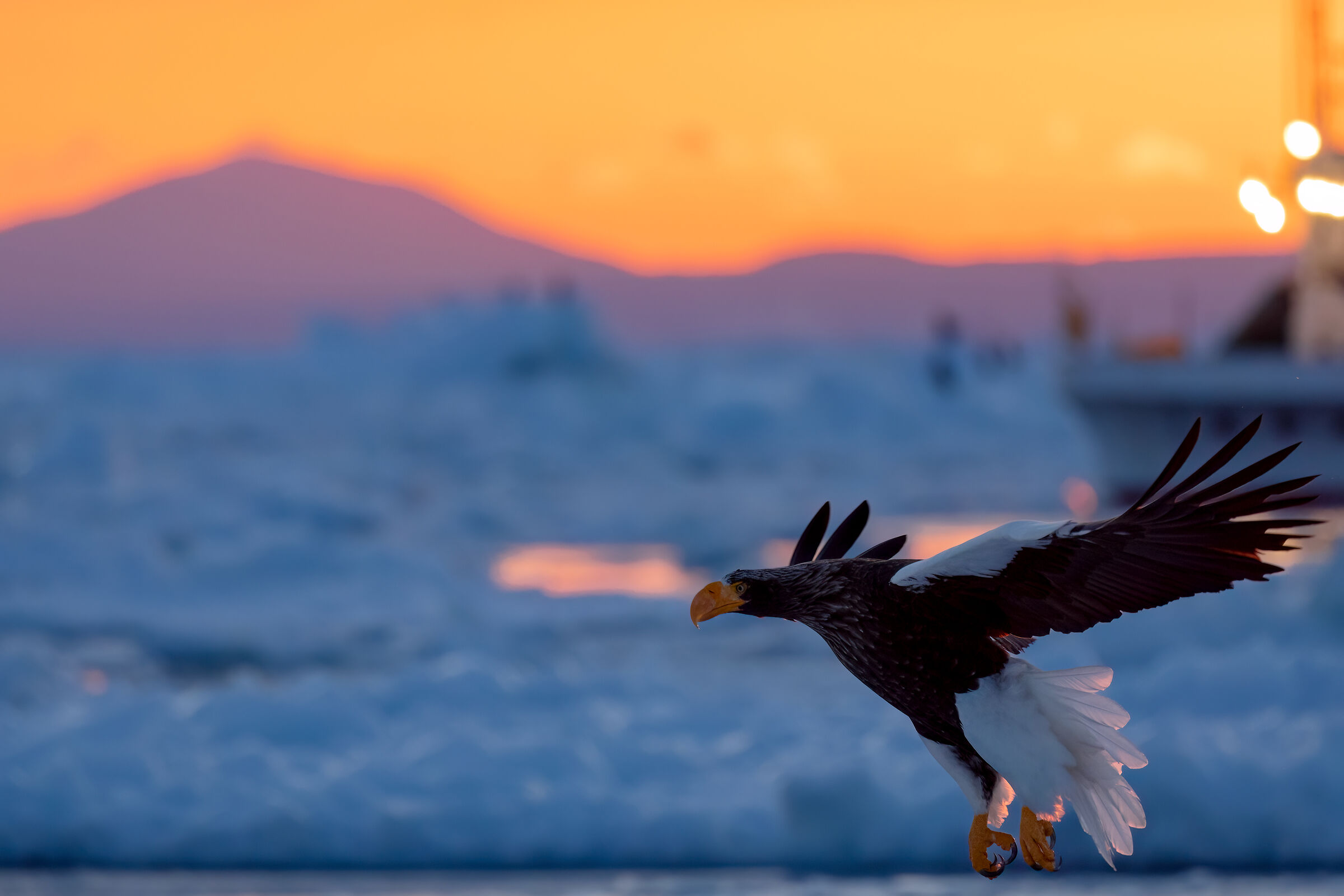 Sunrise on the ice-pack