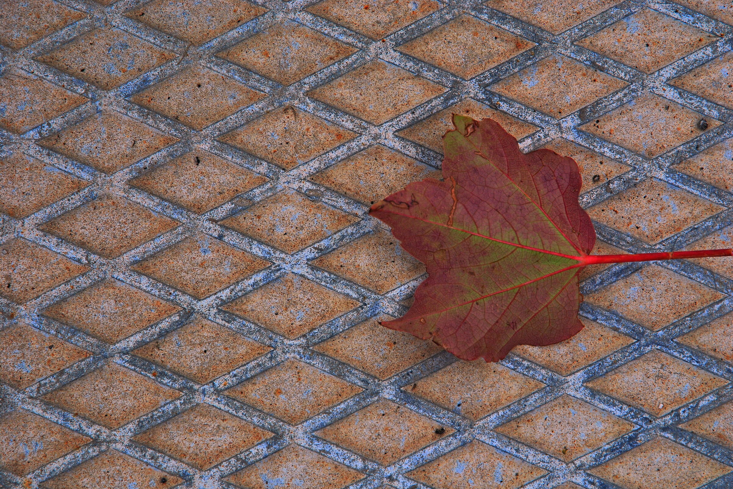 foliage... Gratified