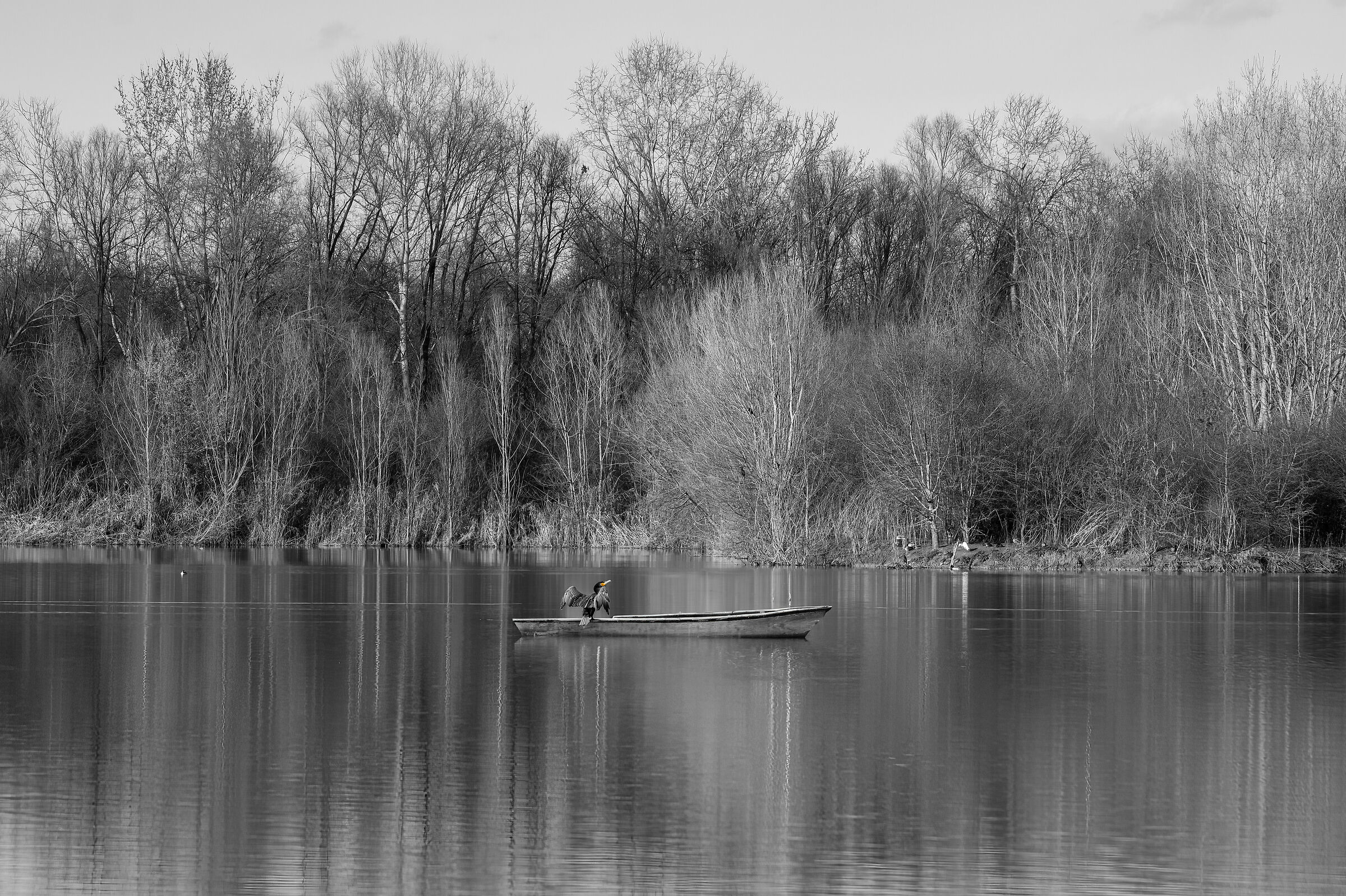 Riflessi..ombre e luci sul lago