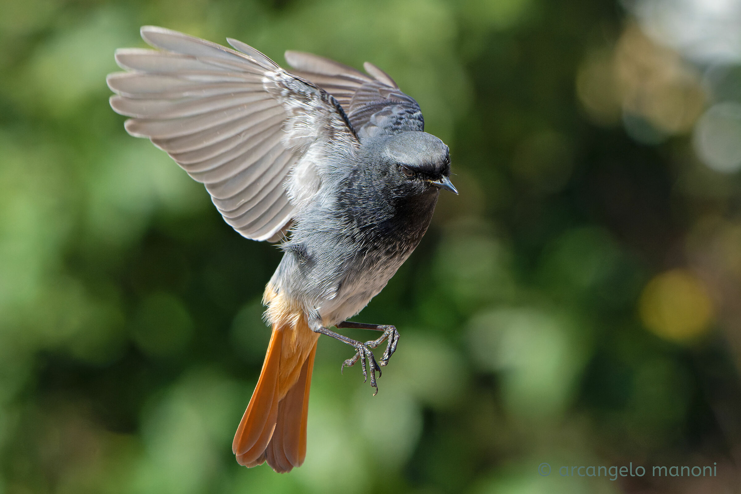 Volo di ricognizione