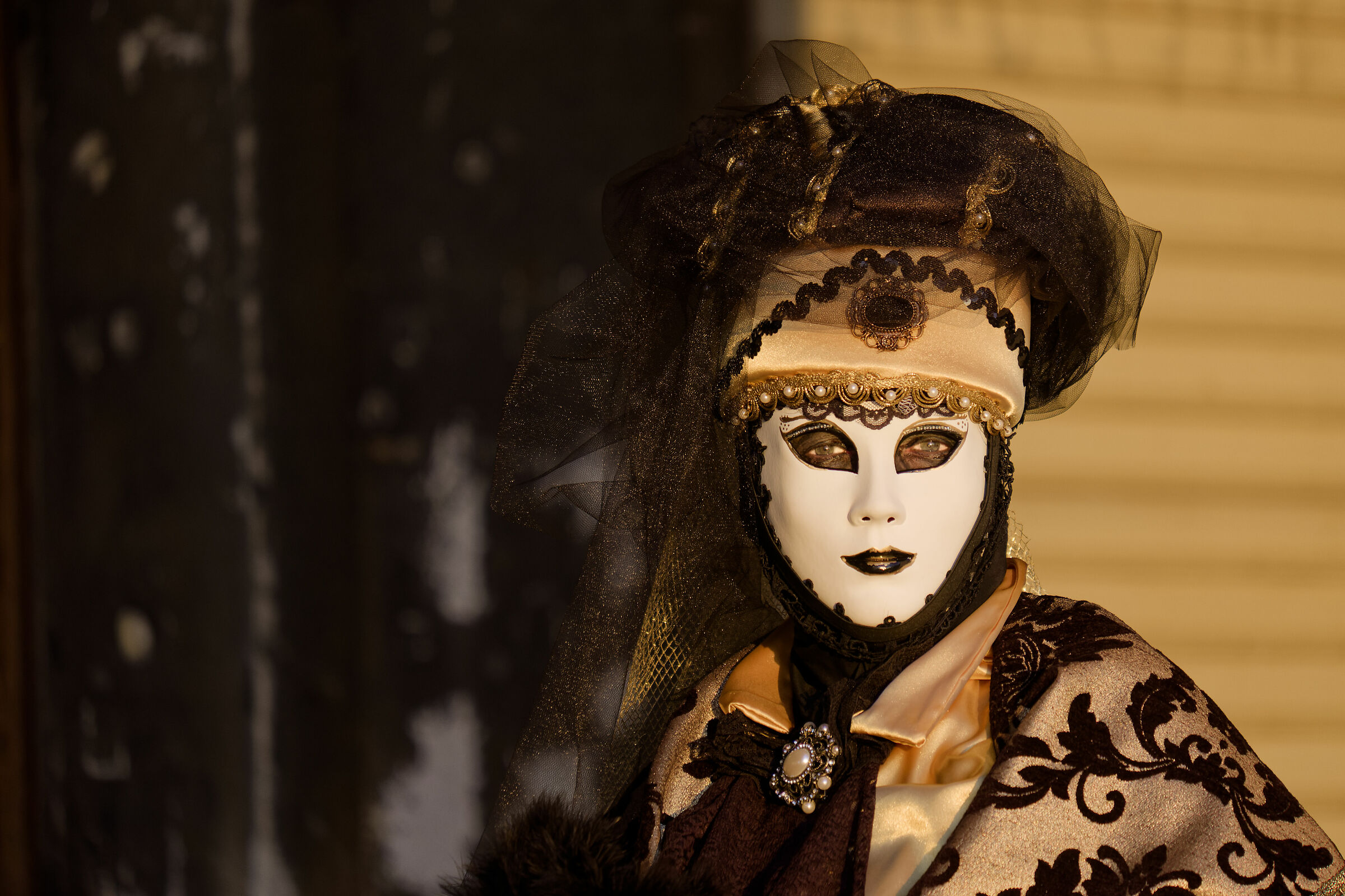 Venezia Carnevale 2019