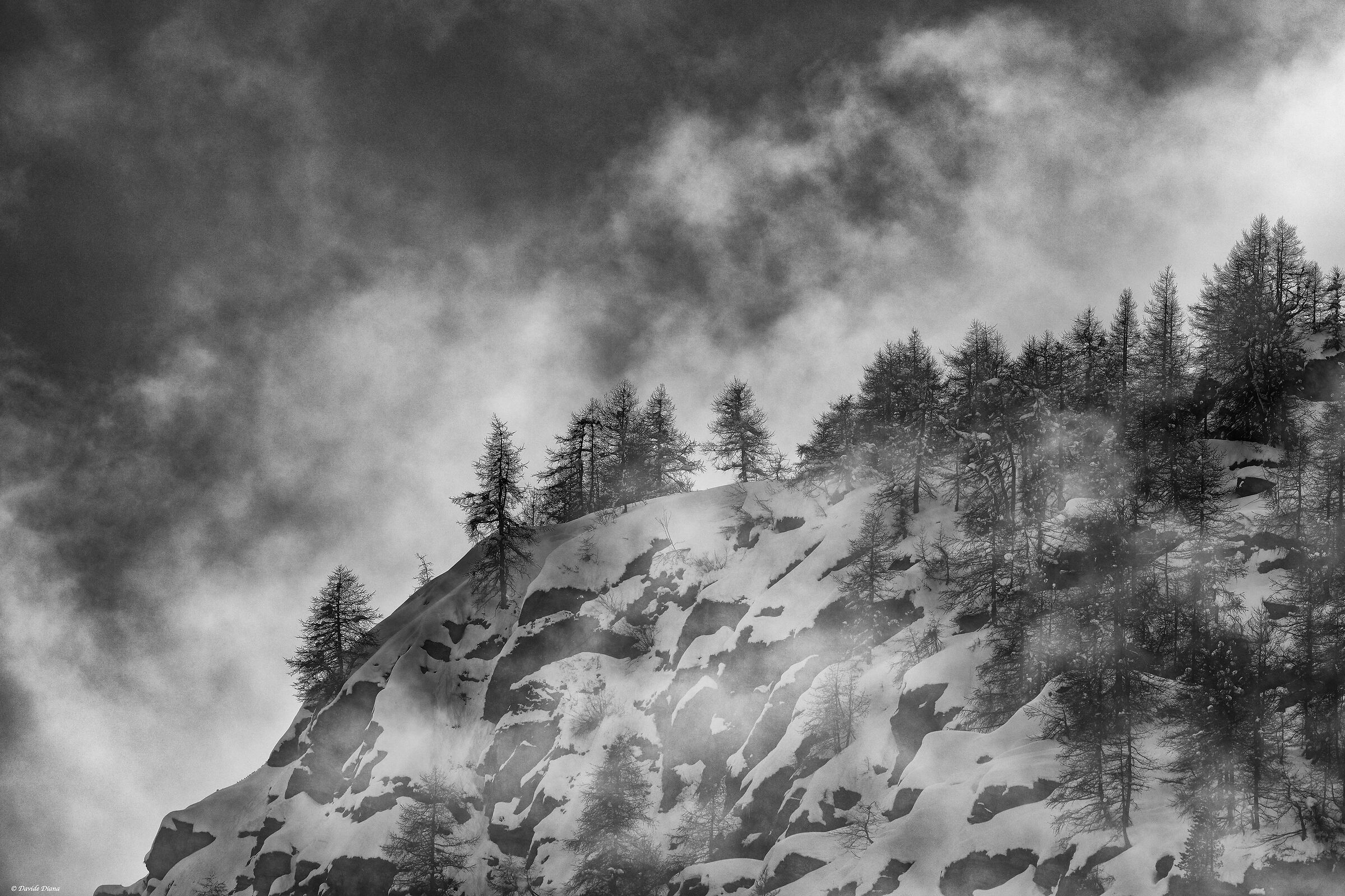 Gran Paradiso National Park - Piedmont