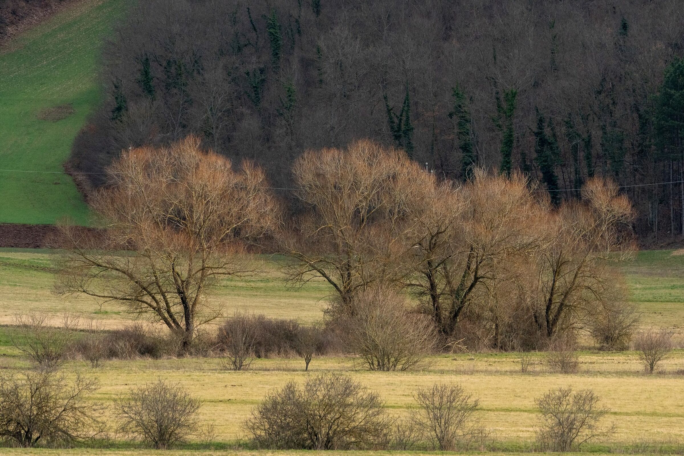 Piano di Arvello (Pg- Umbria)