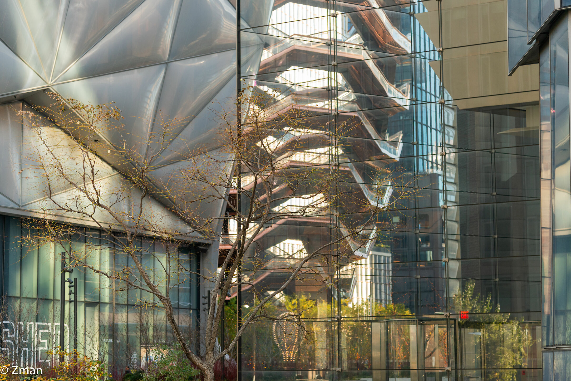 The Modern in New York