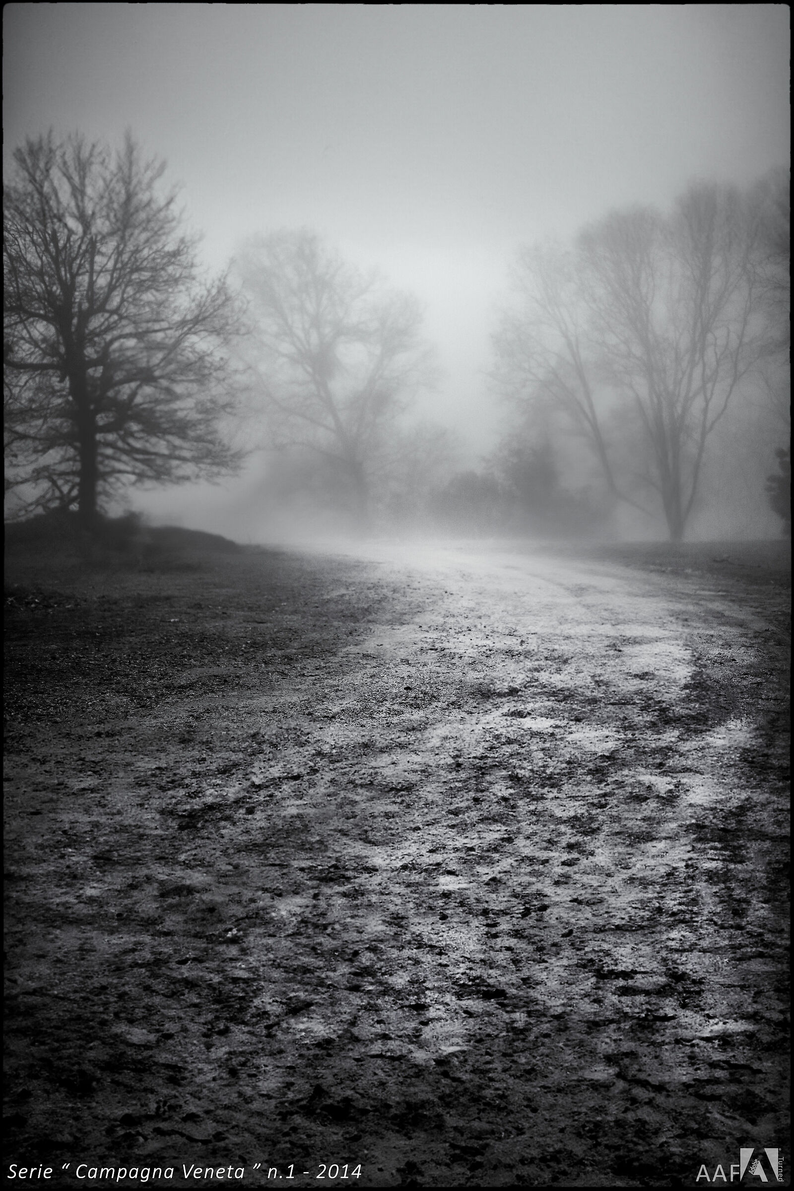 Serie "Campagna Veneta" n.1 - 2014