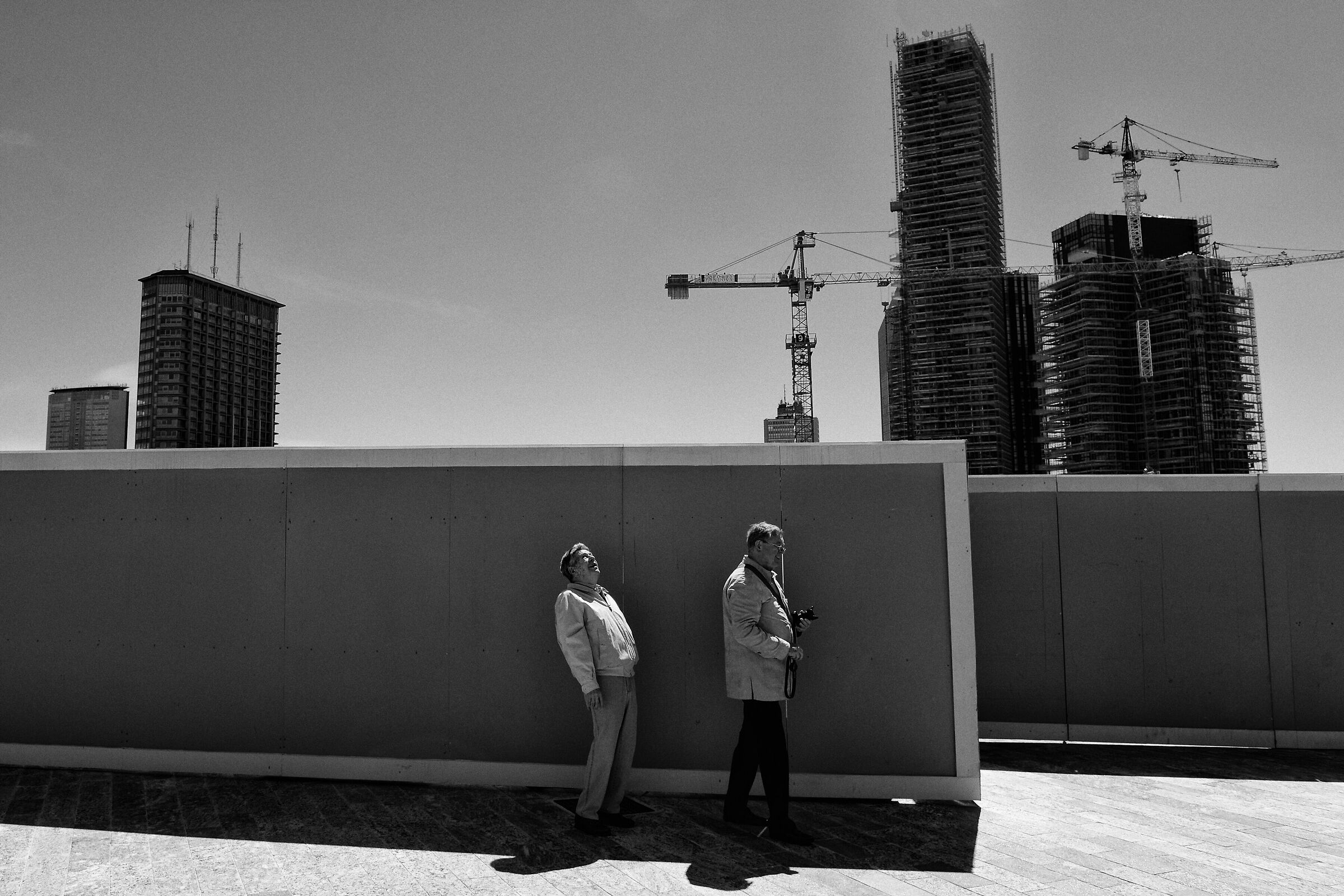 Vertical Landscapes