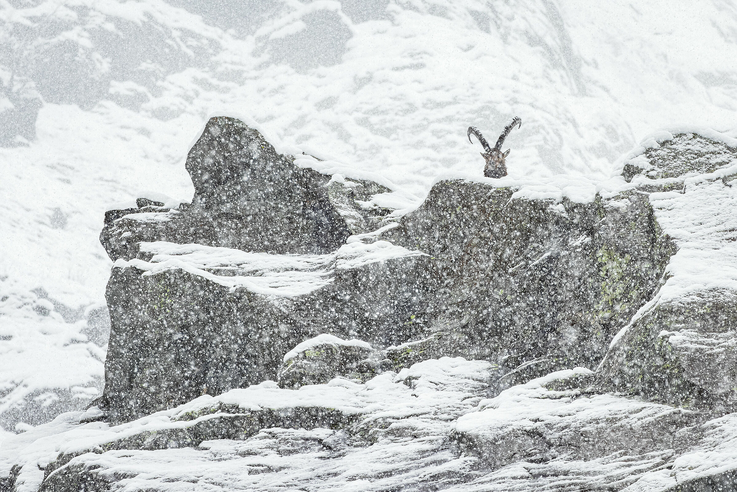 Listening to the silences