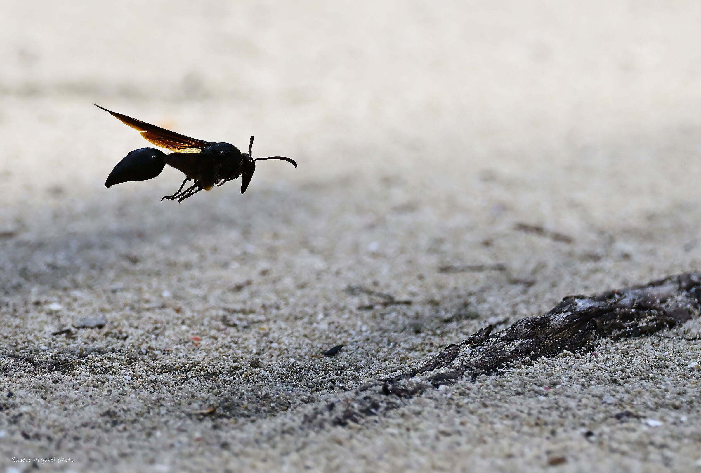 May day may day, ho un problema...