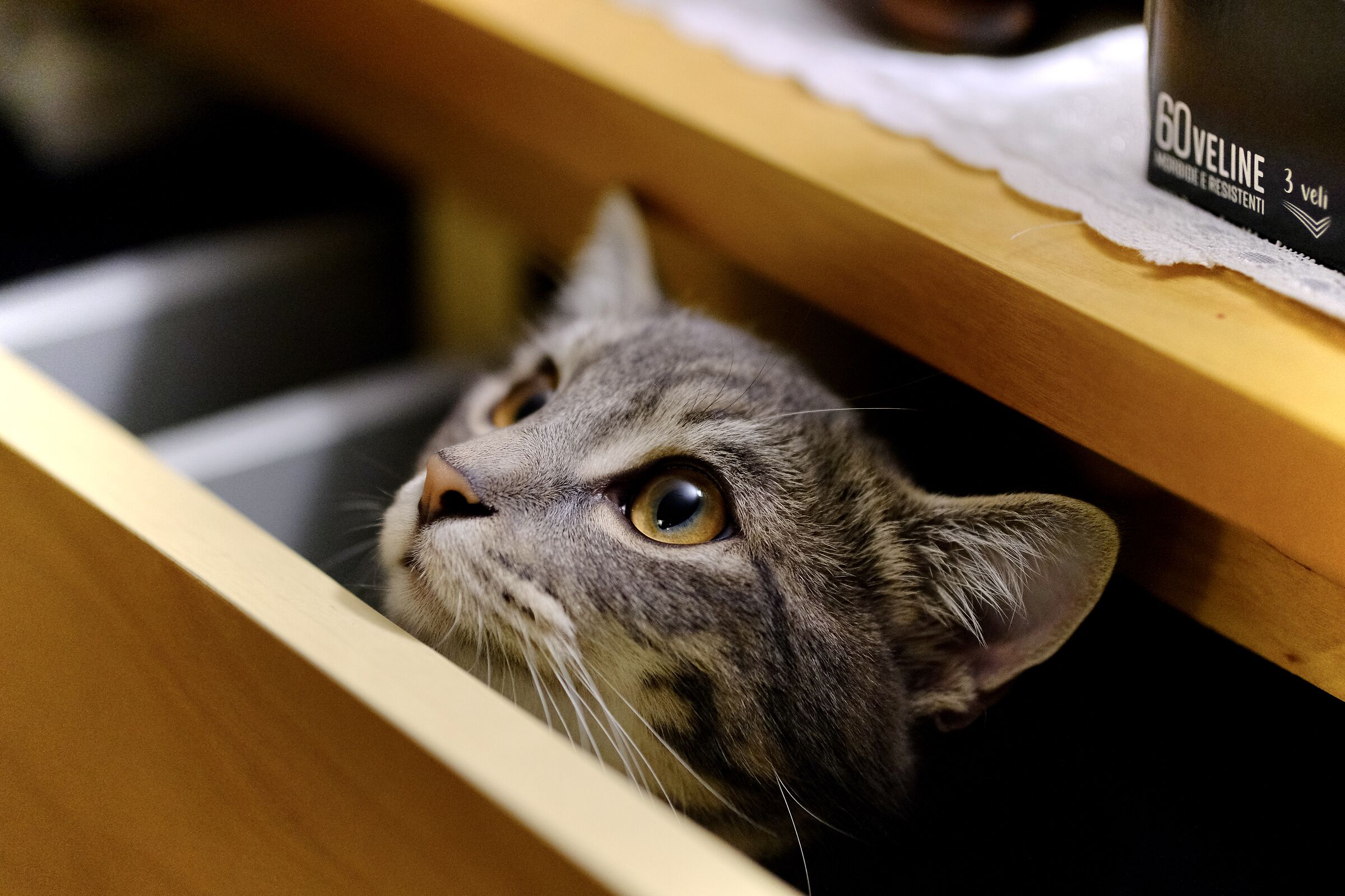 Zelda in Esplorazione Cassetti