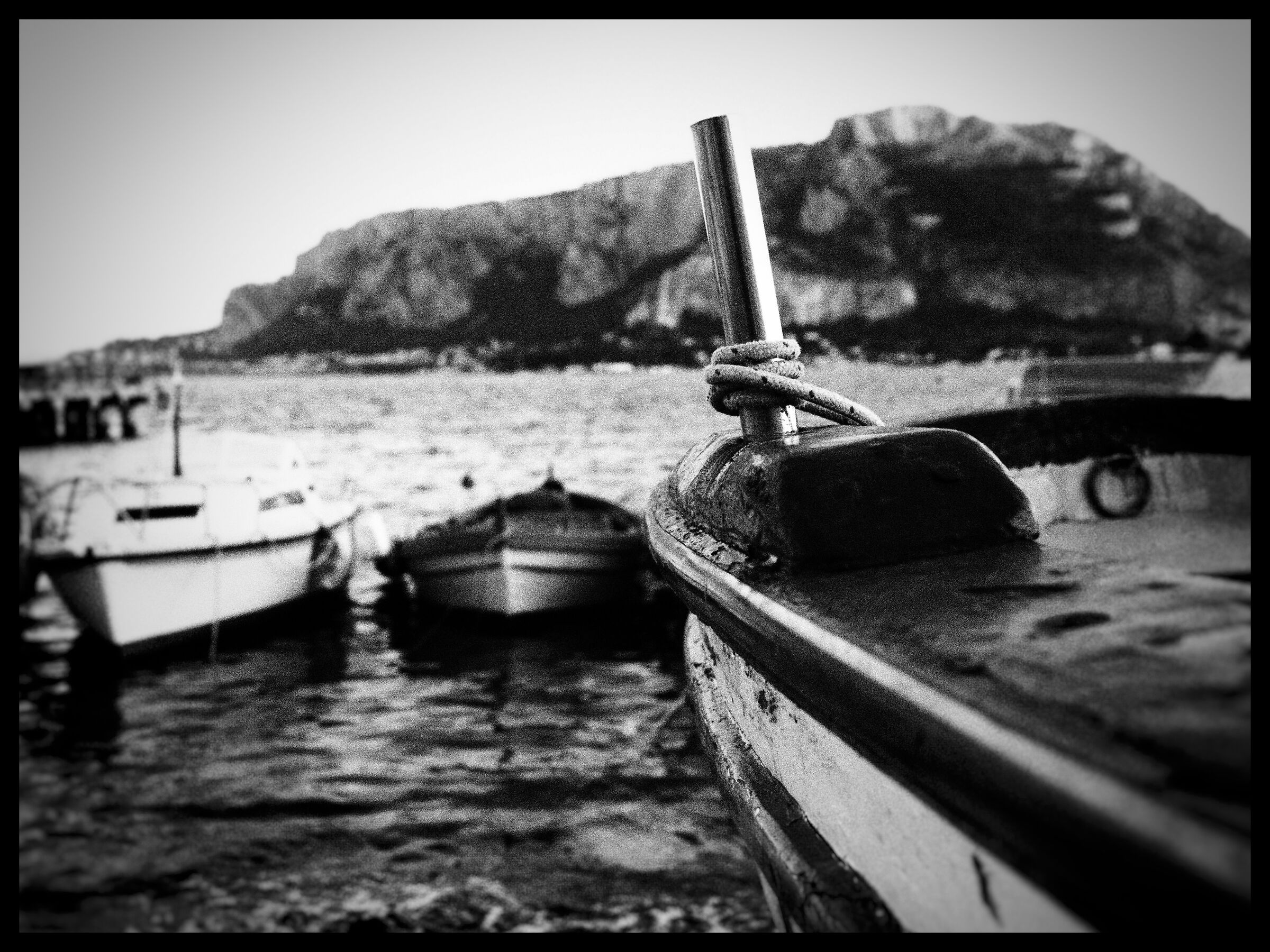 Remembering the furrowed seas...