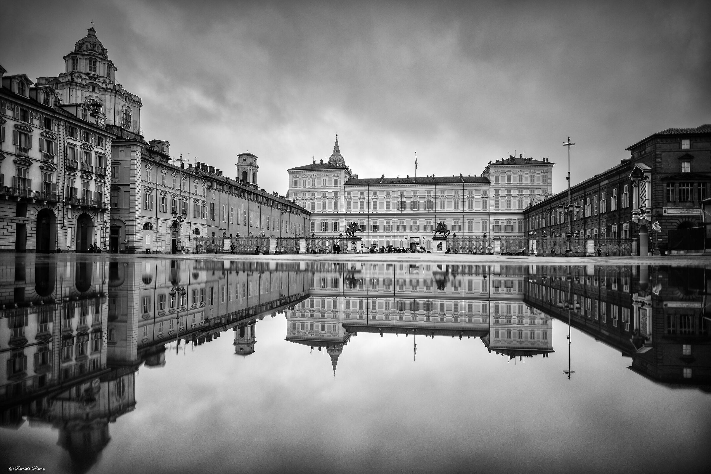 the magical world of puddles