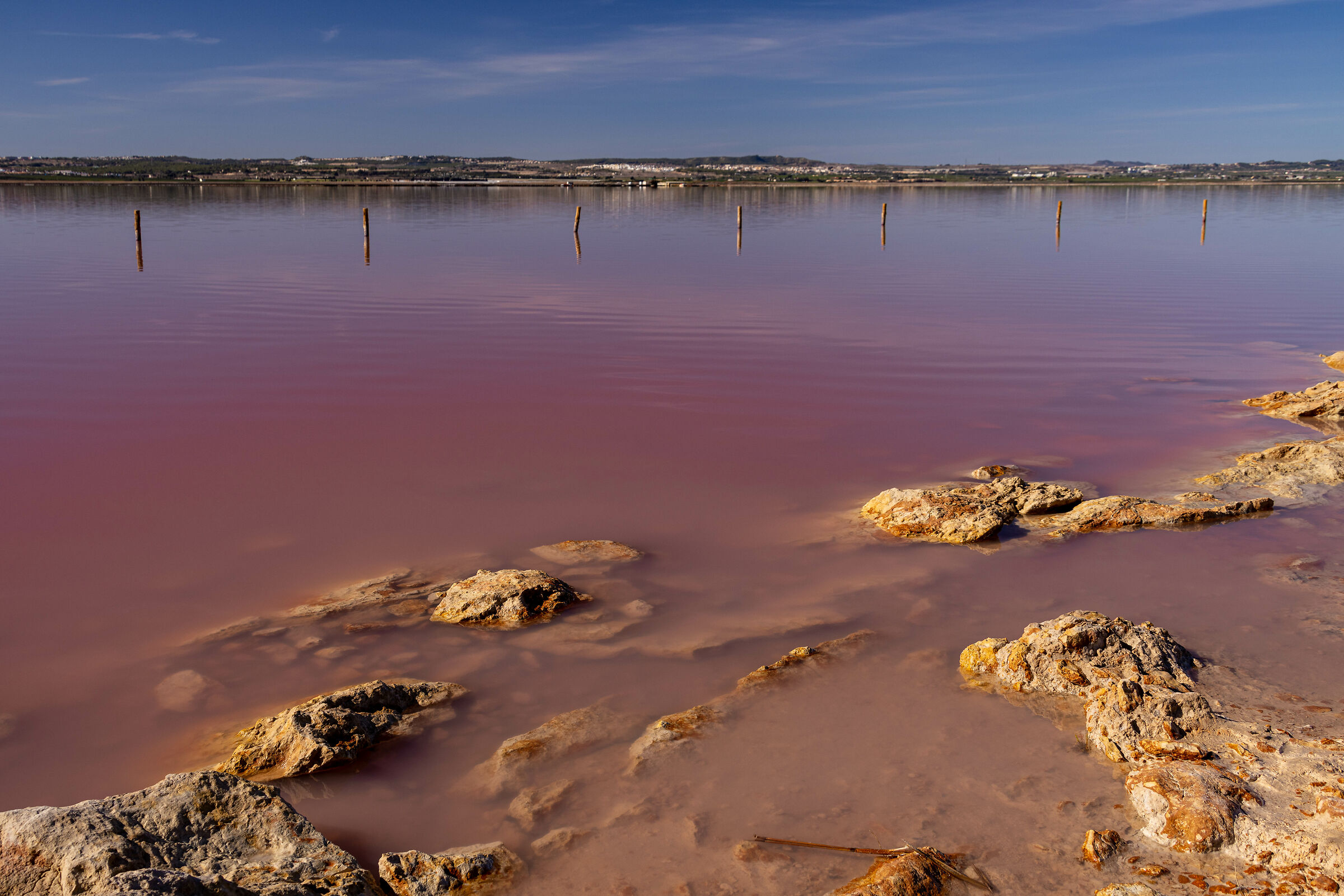 Salinas de Torrevieja