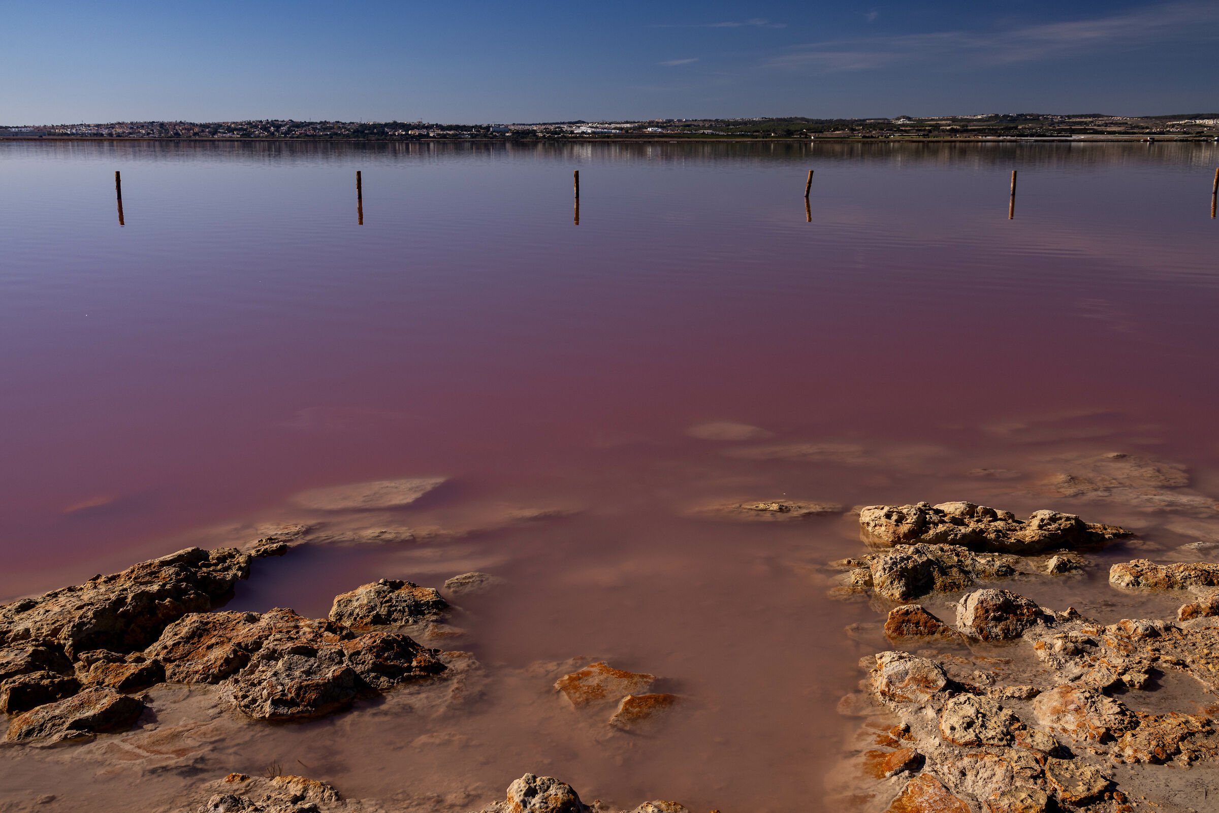 Salinas de Torrevieja