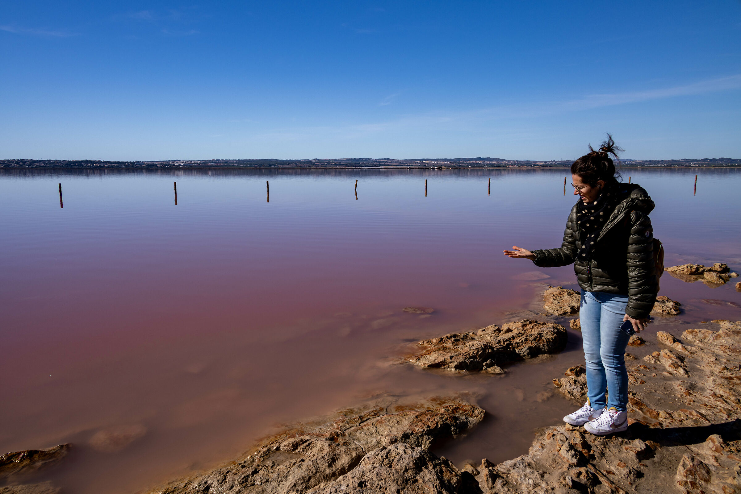 Salinas de Torrevieja