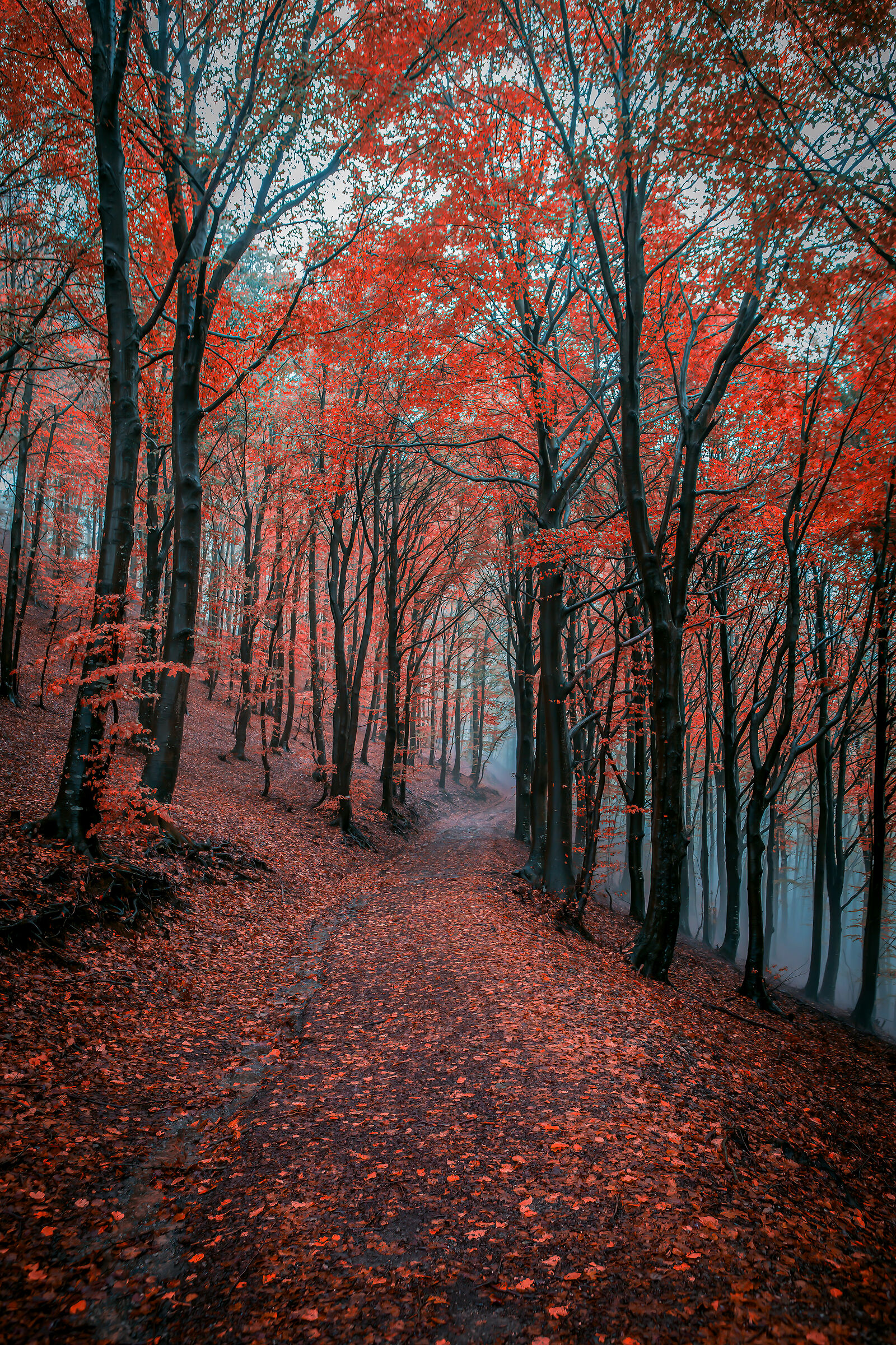 autumn in Val d'Intelvi.change in the air
