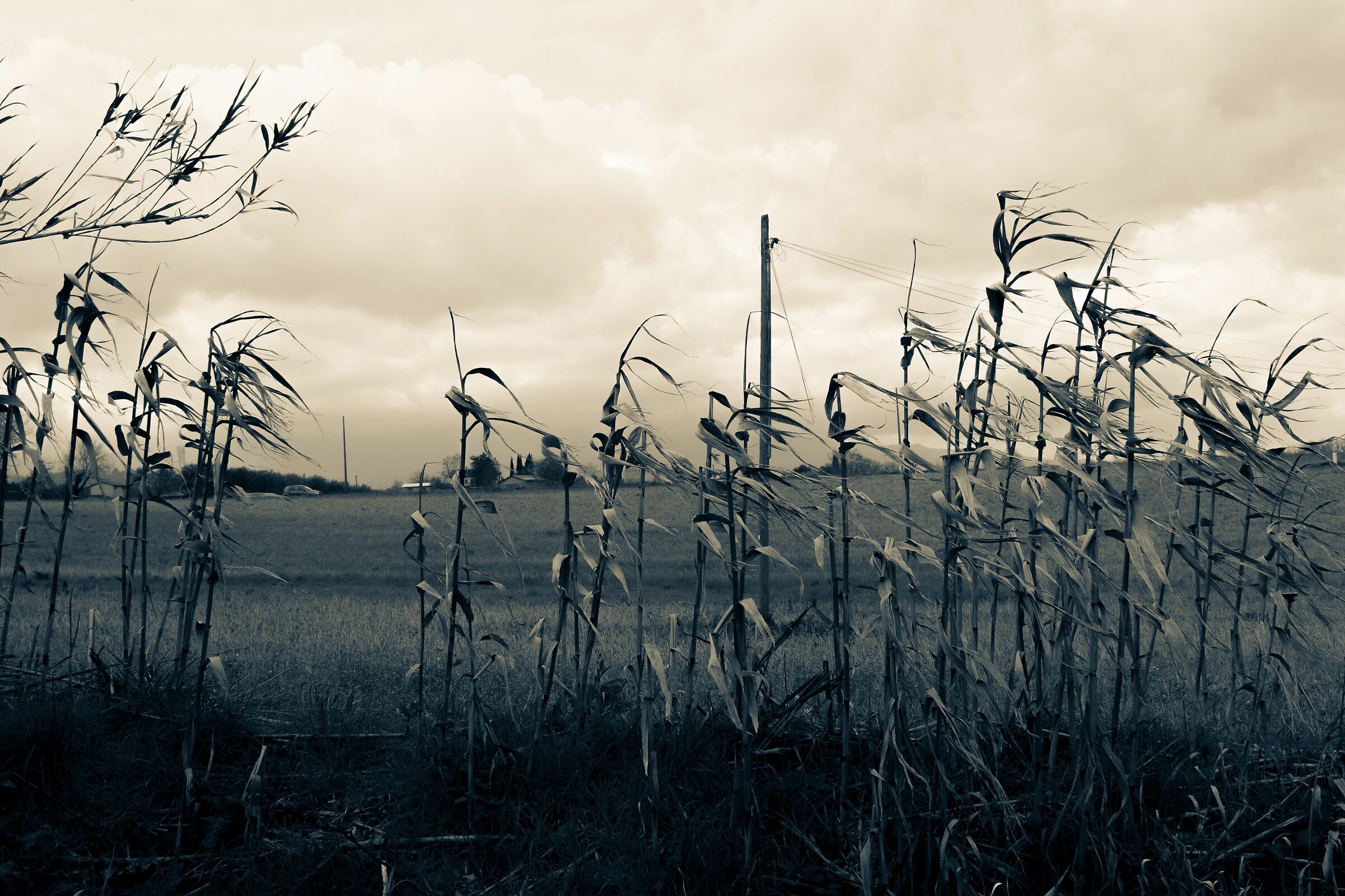 Paesaggio sannita #1