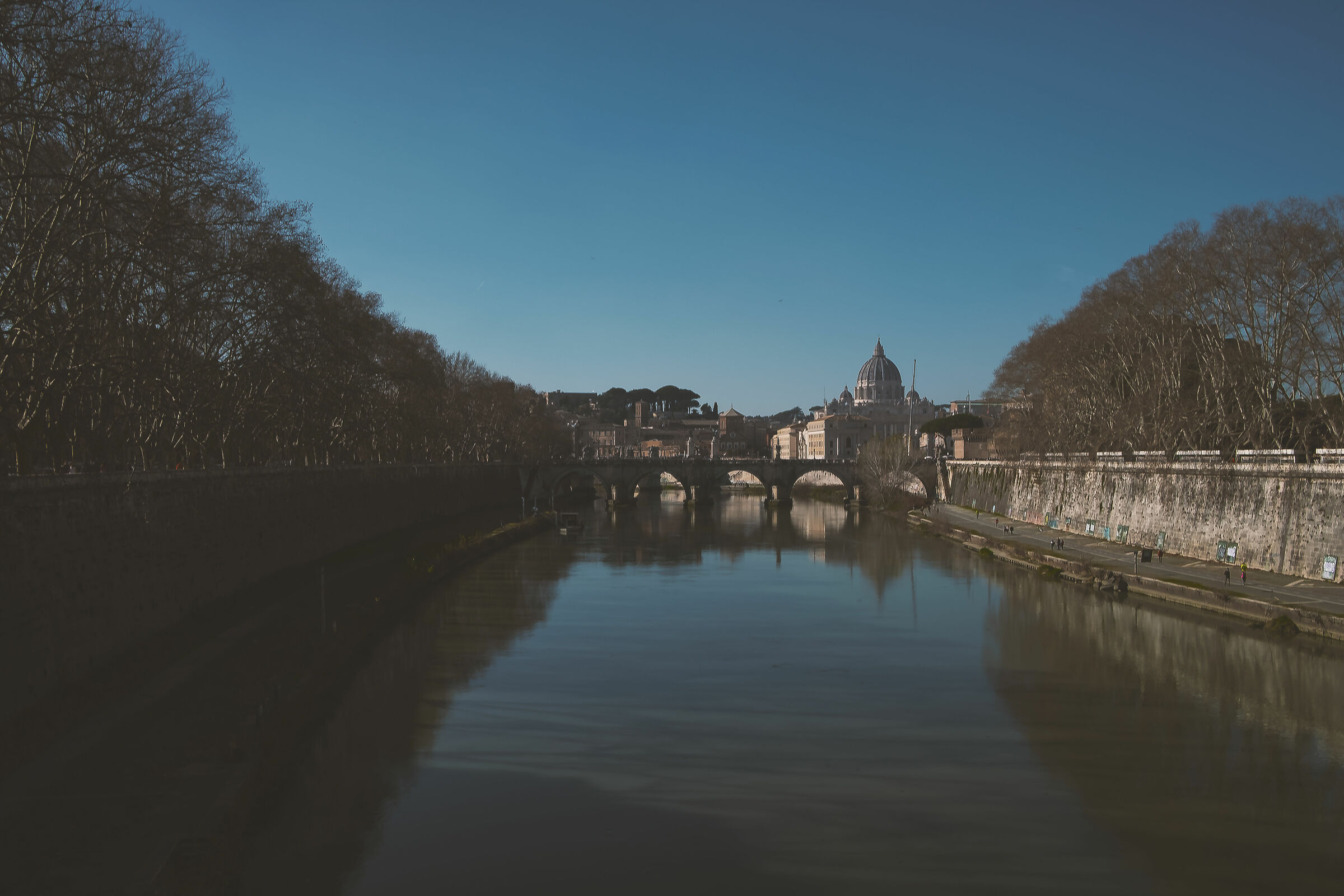 Untitled Photo