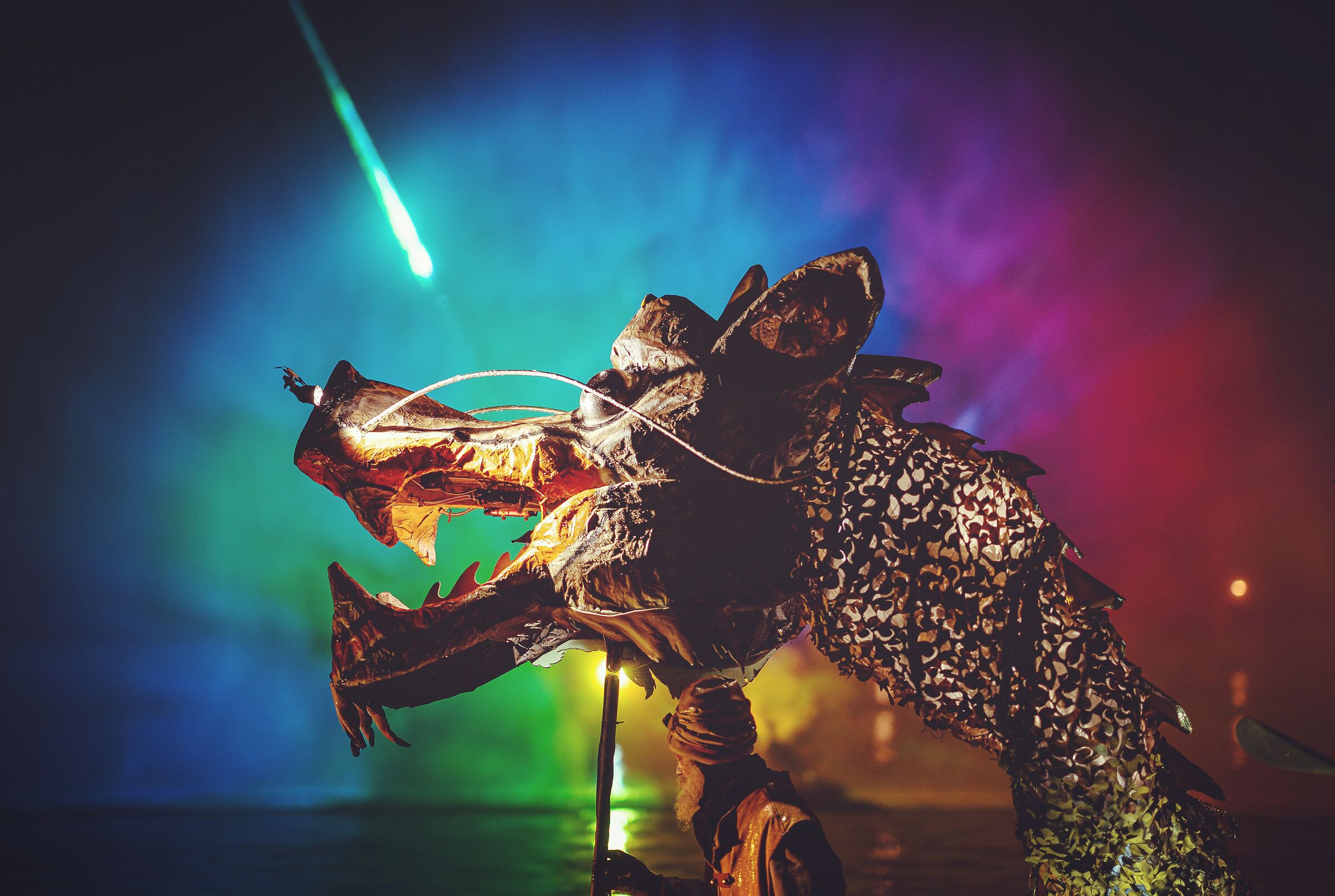 Colourfull punk dragon