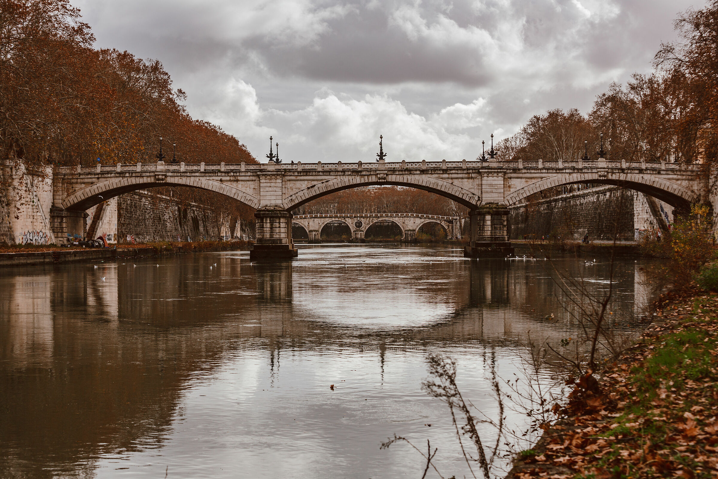 Vorrei avere un fiume su cui pattinare
