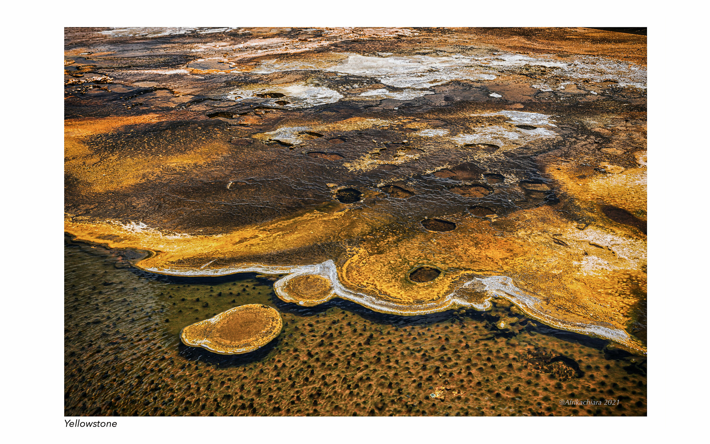 La terra esce allo scoperto