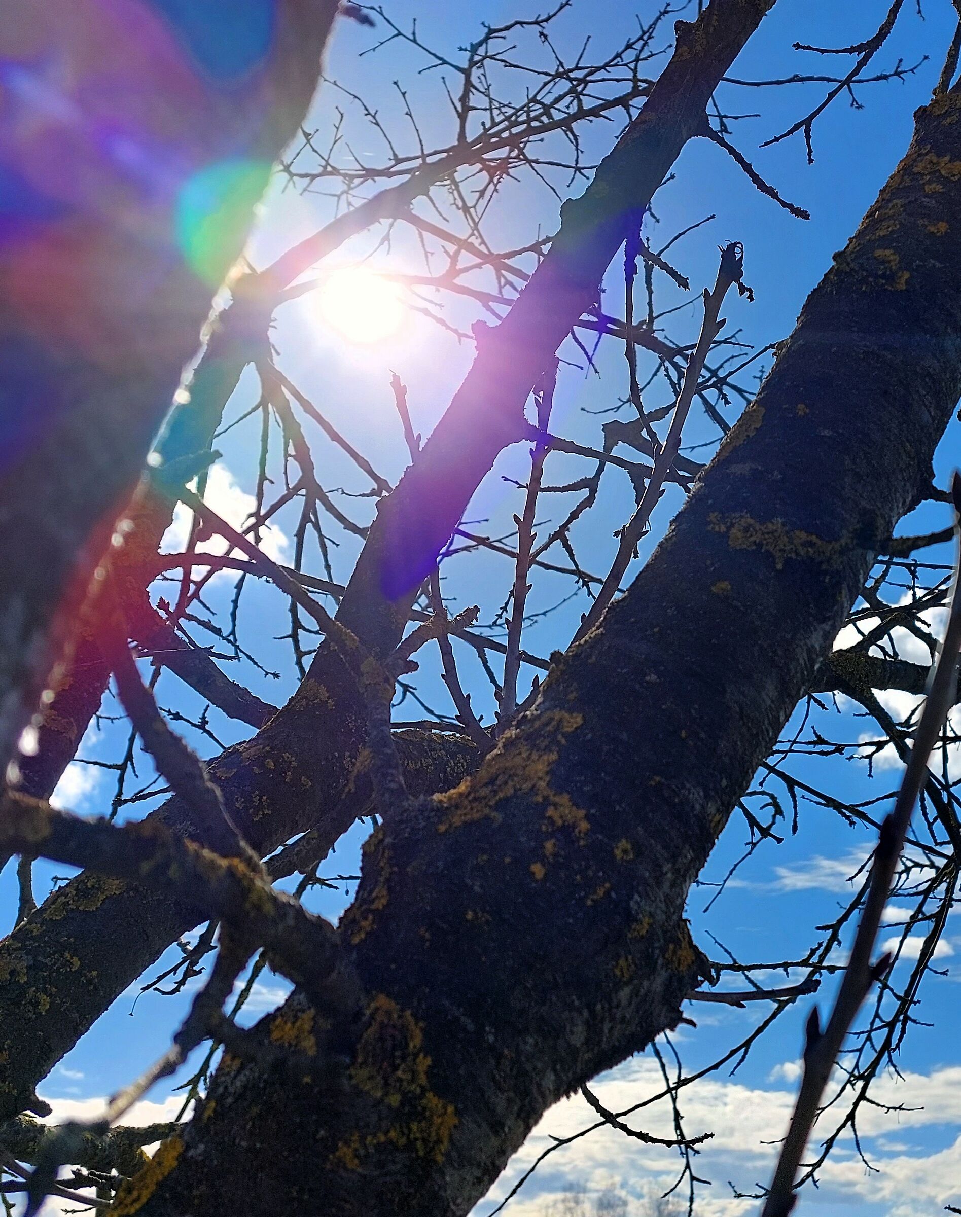 Ray of sunshine