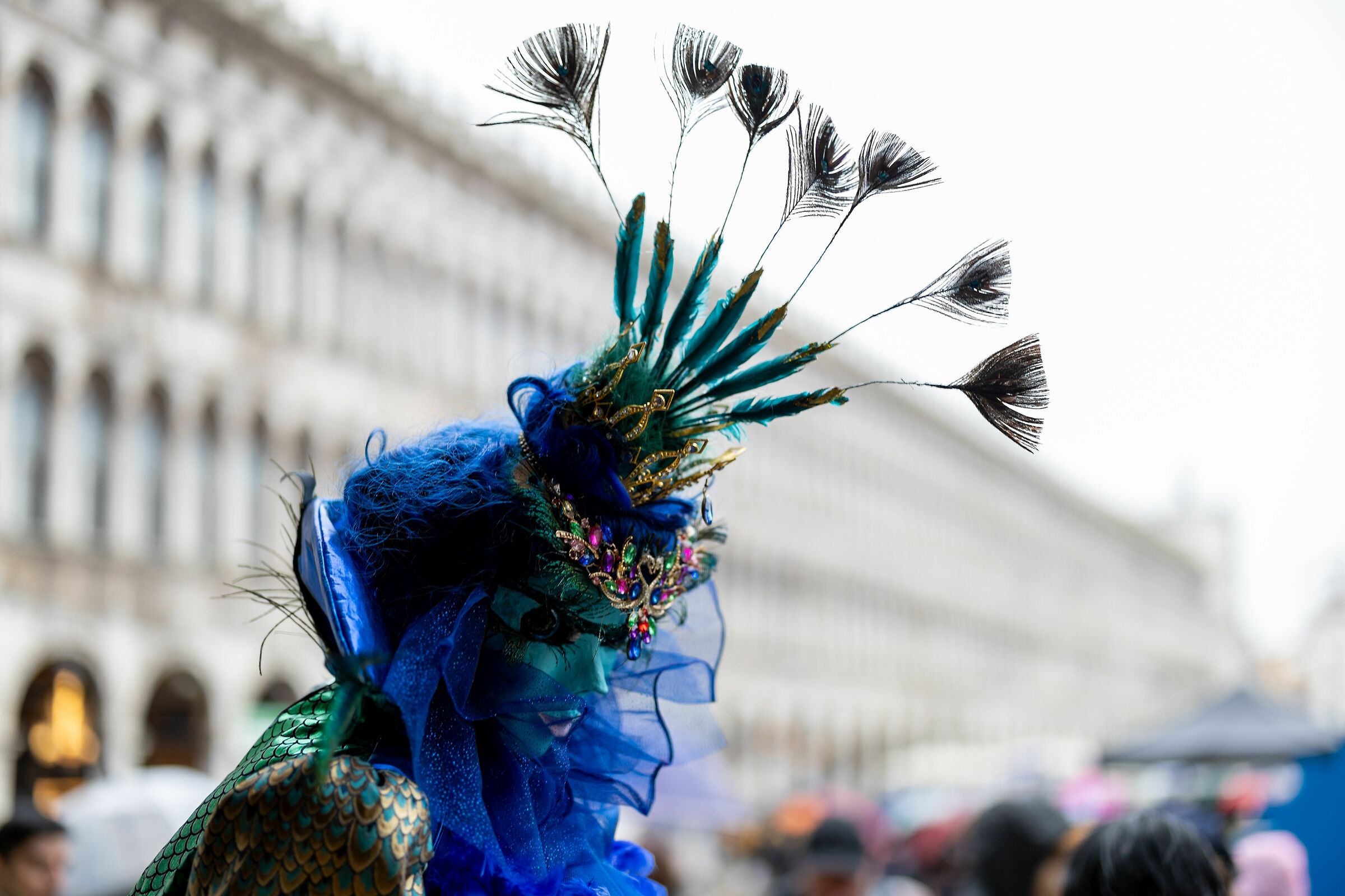 Peacock