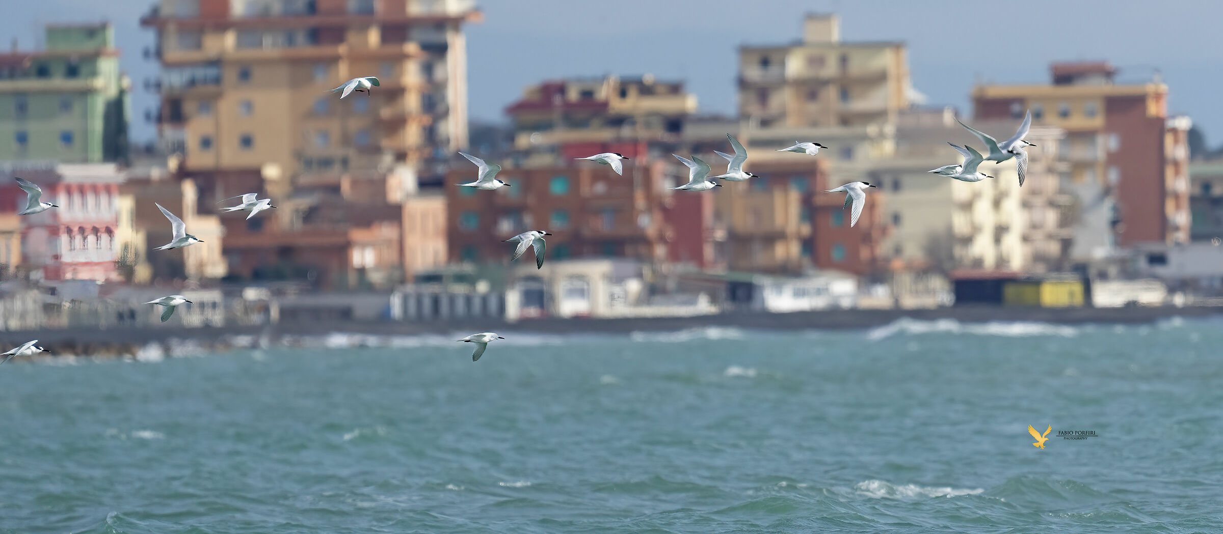 ogni anno sempre peggio ! Beccapesci