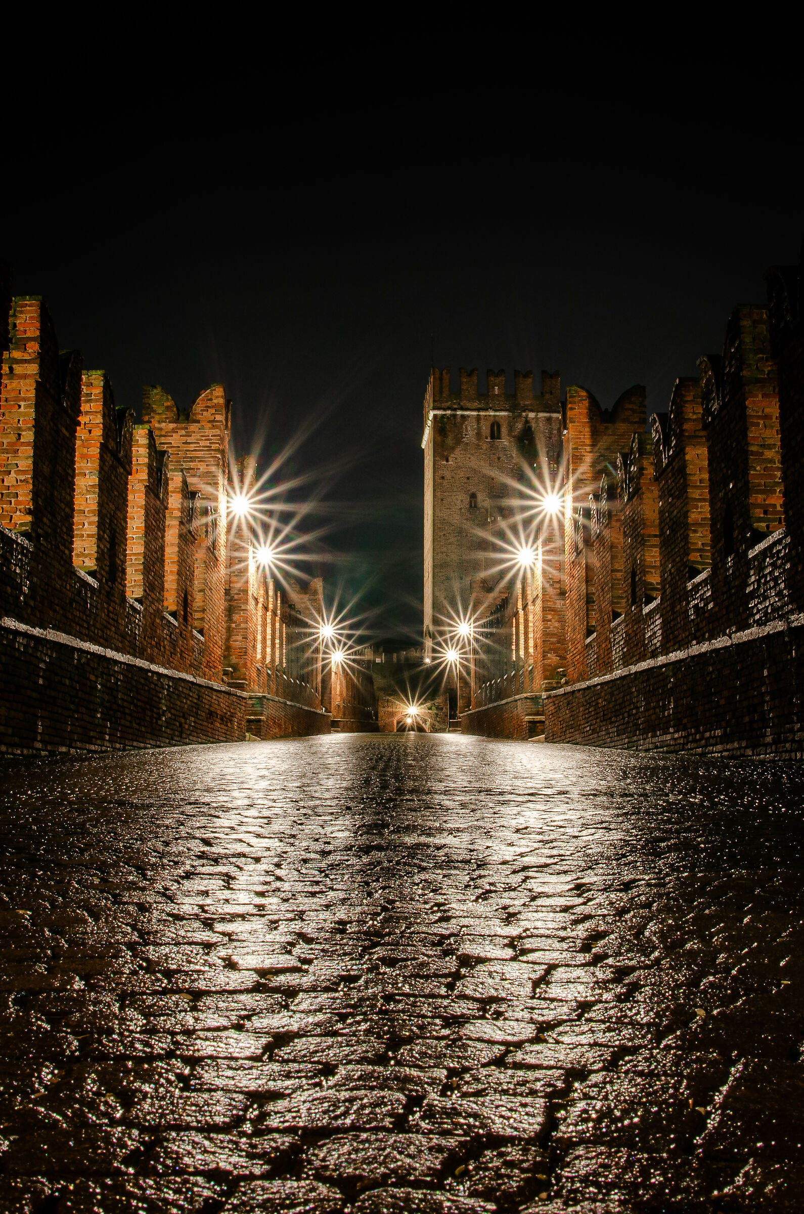Scaliger Castle, Verona