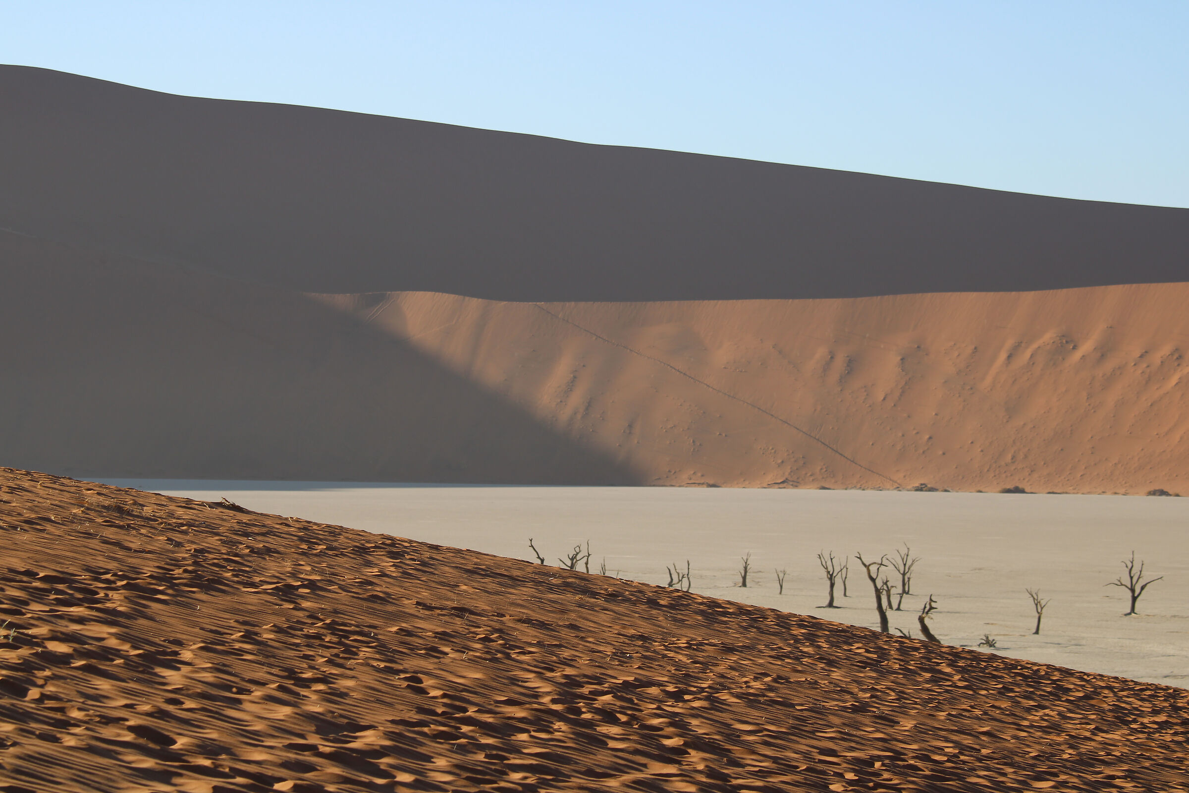 Direzione Deadvlei