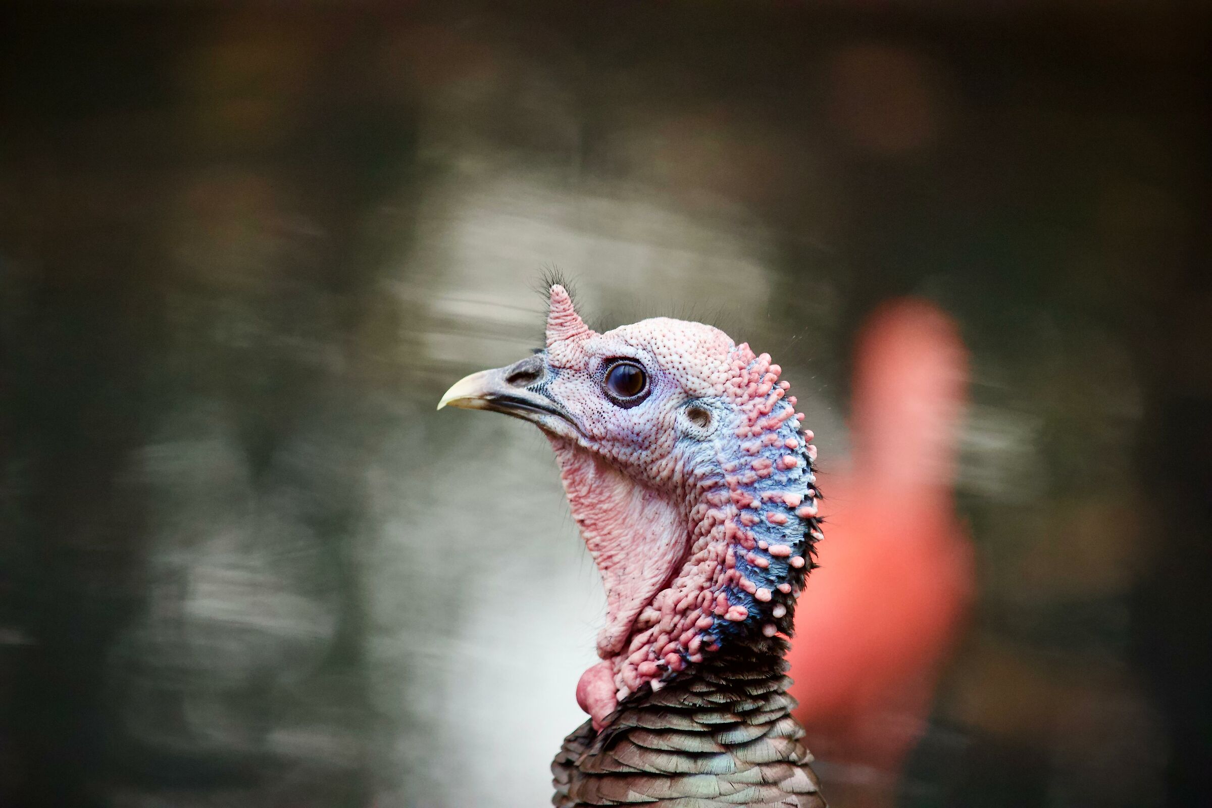 Oasi di Sant'Alessio