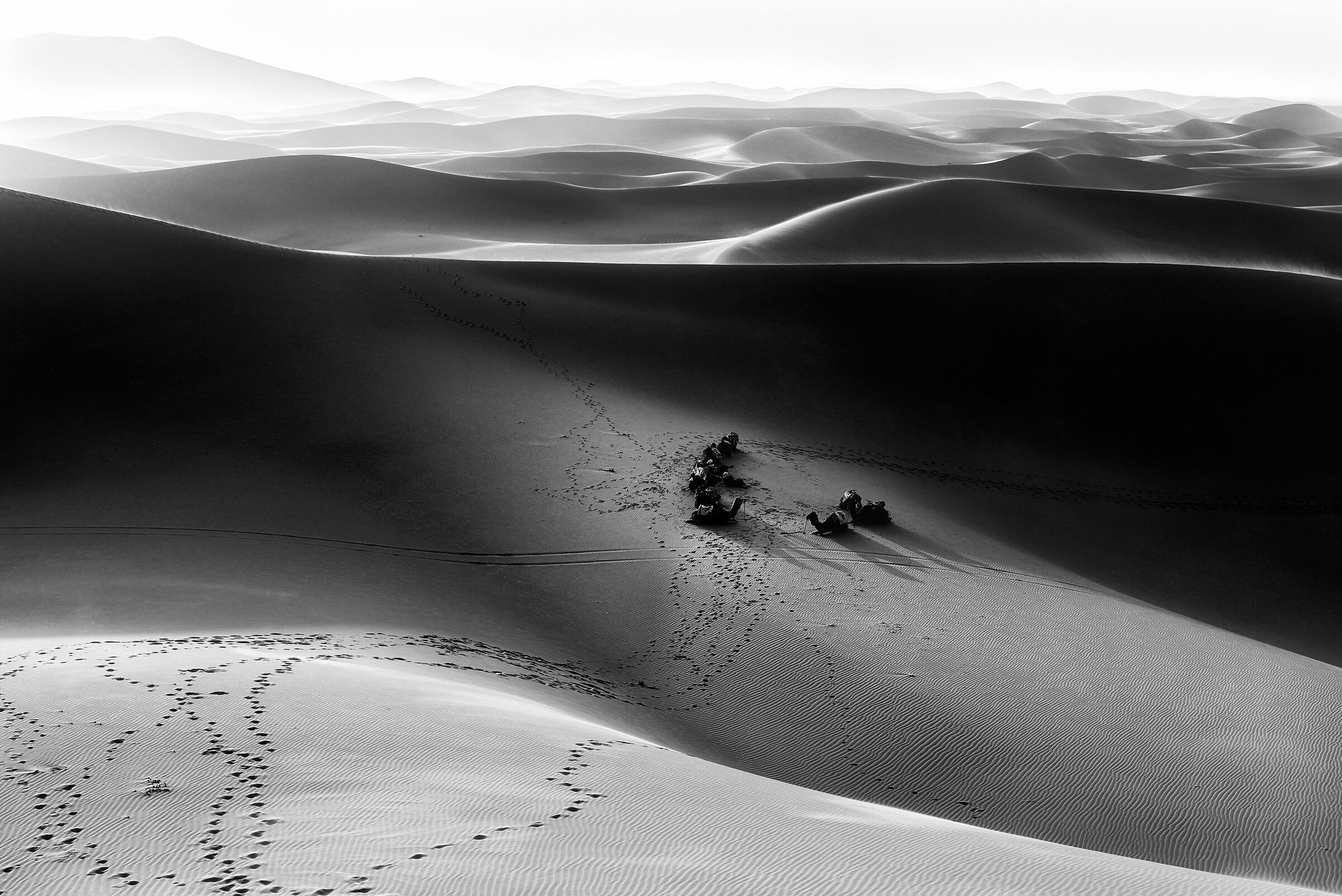 Monochrome Desert