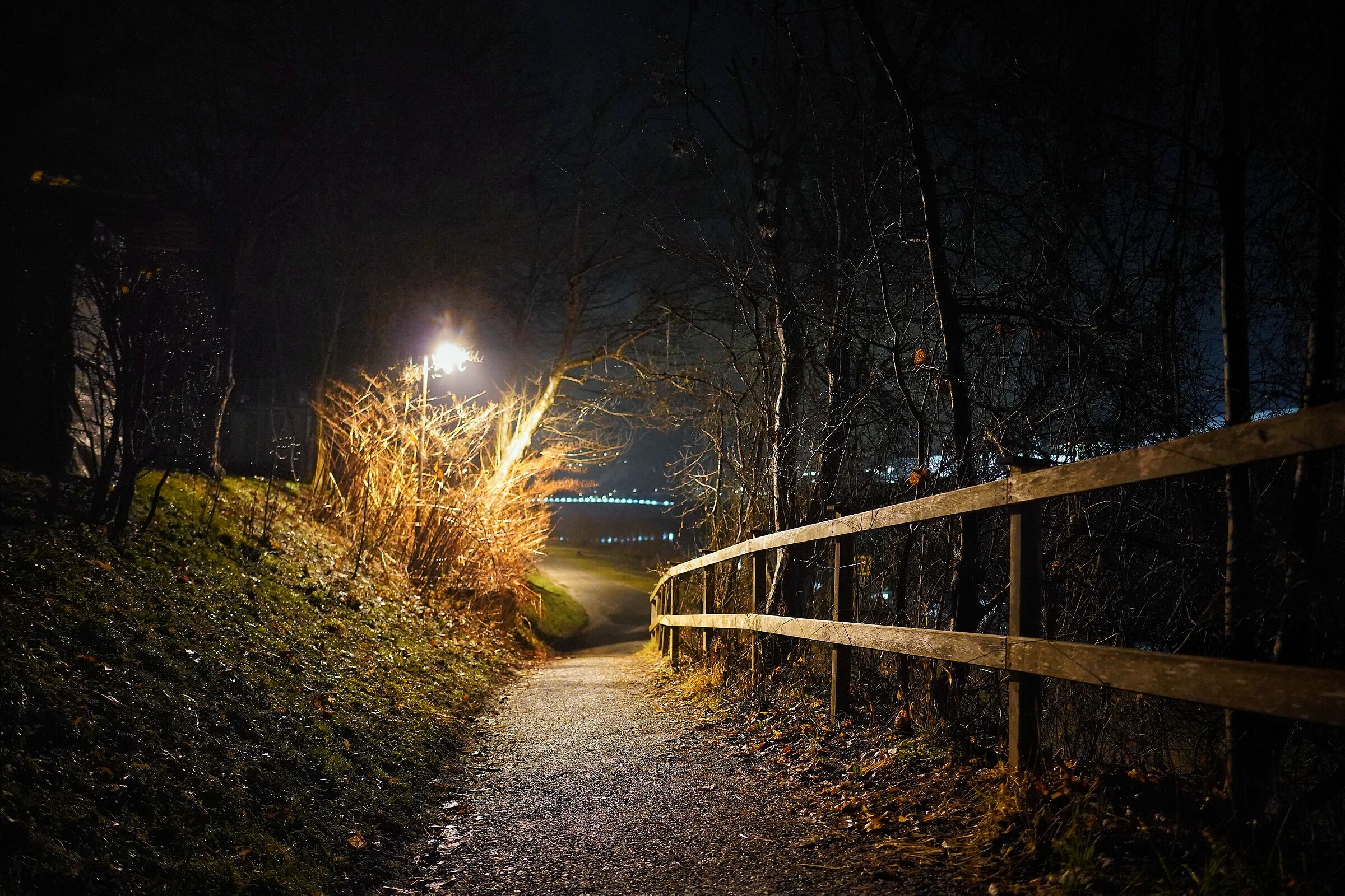 Night pathway