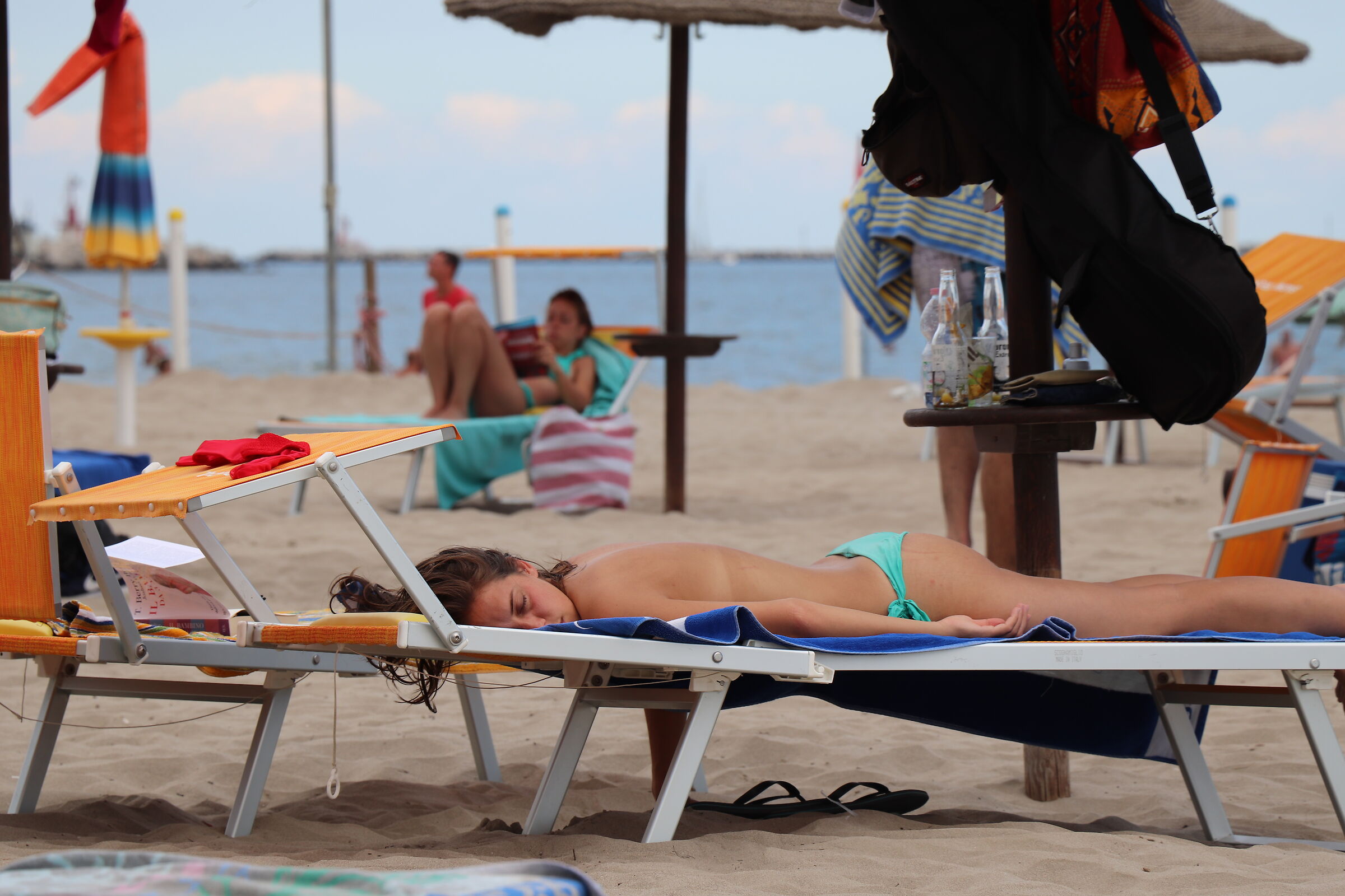 penichella pomeridiana