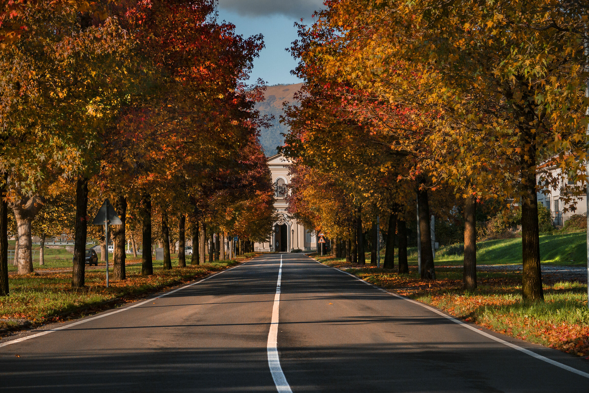 tree-lined avenue Alzate Brianza. Beautiful autumn colors.