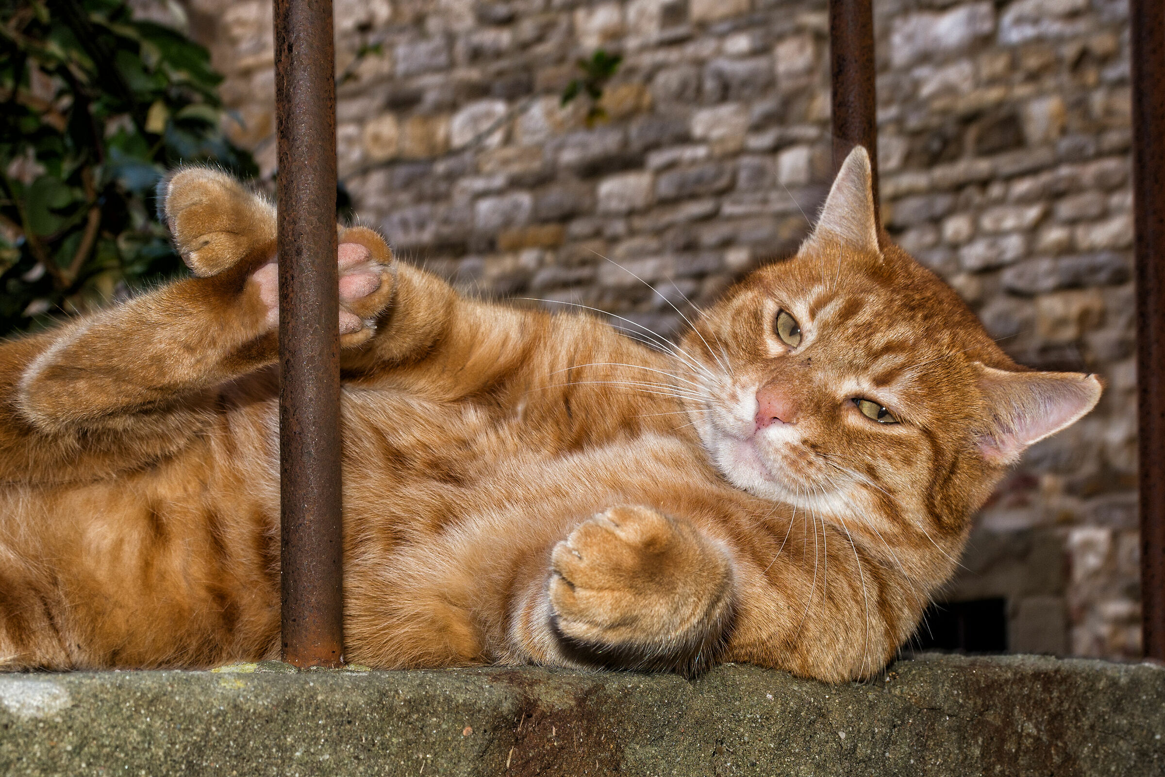 Mi faccio un po' di addominali